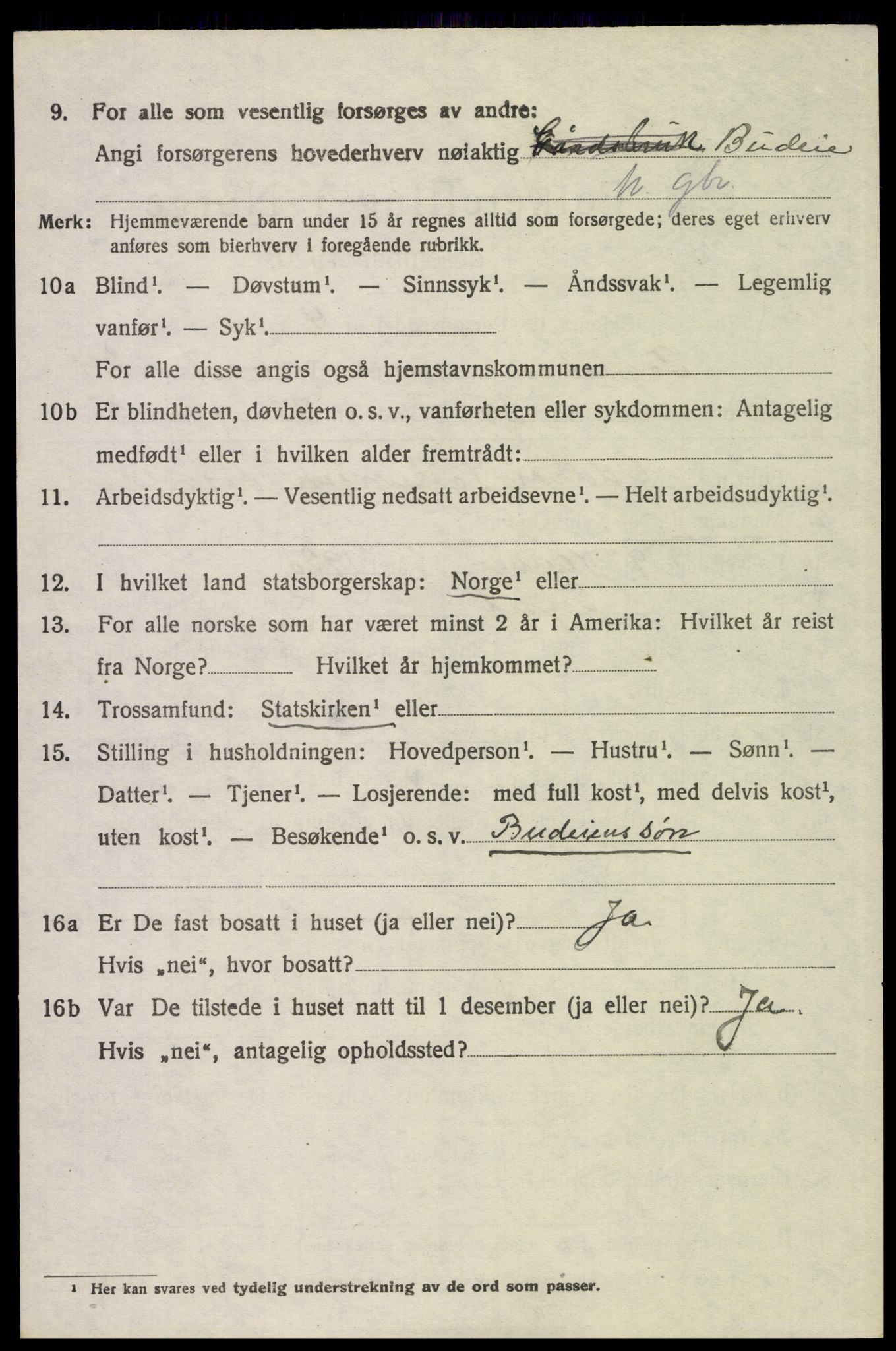 SAH, 1920 census for Trysil, 1920, p. 15662