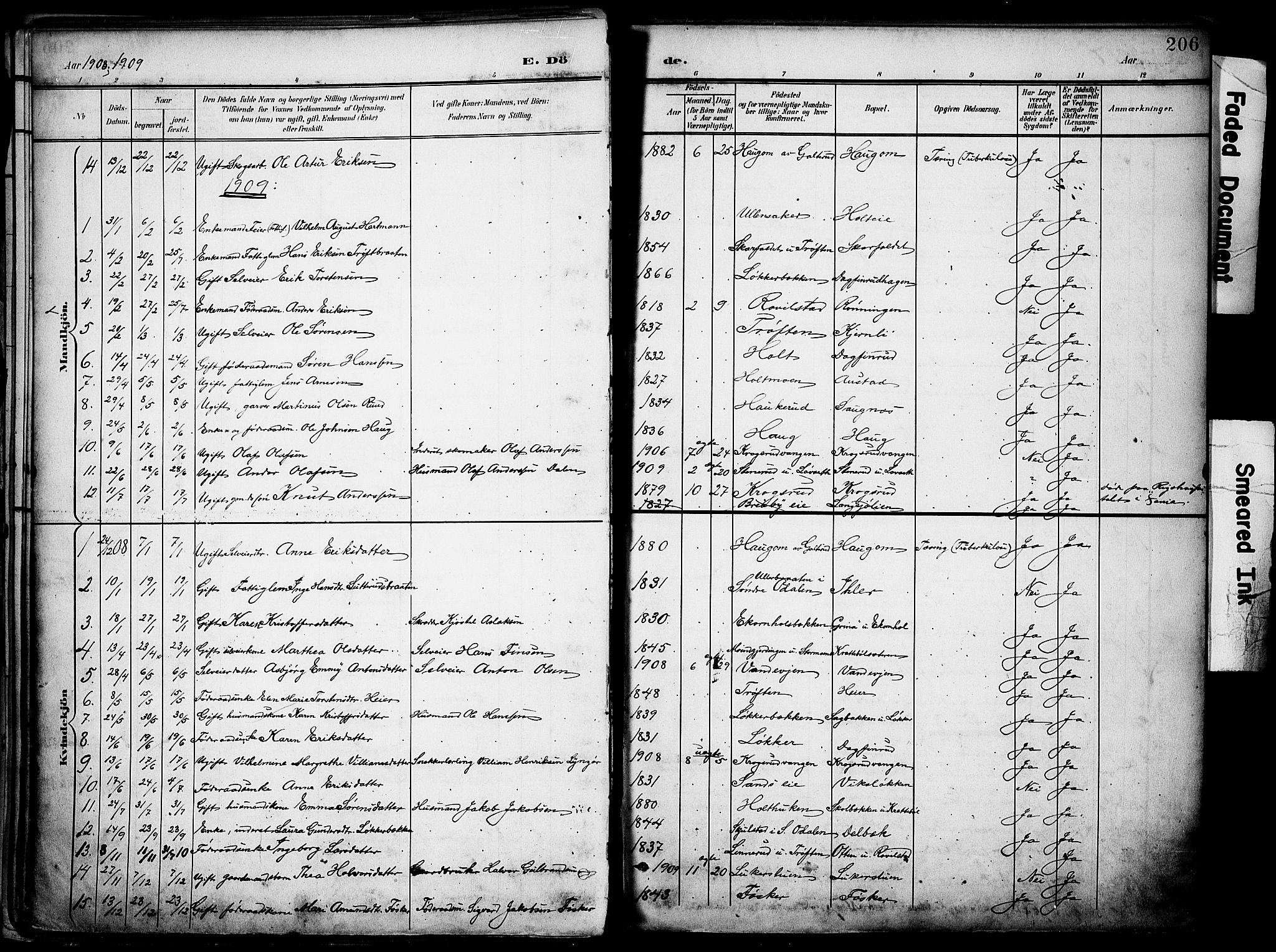 Nord-Odal prestekontor, SAH/PREST-032/H/Ha/Haa/L0007: Parish register (official) no. 7, 1902-1926, p. 206