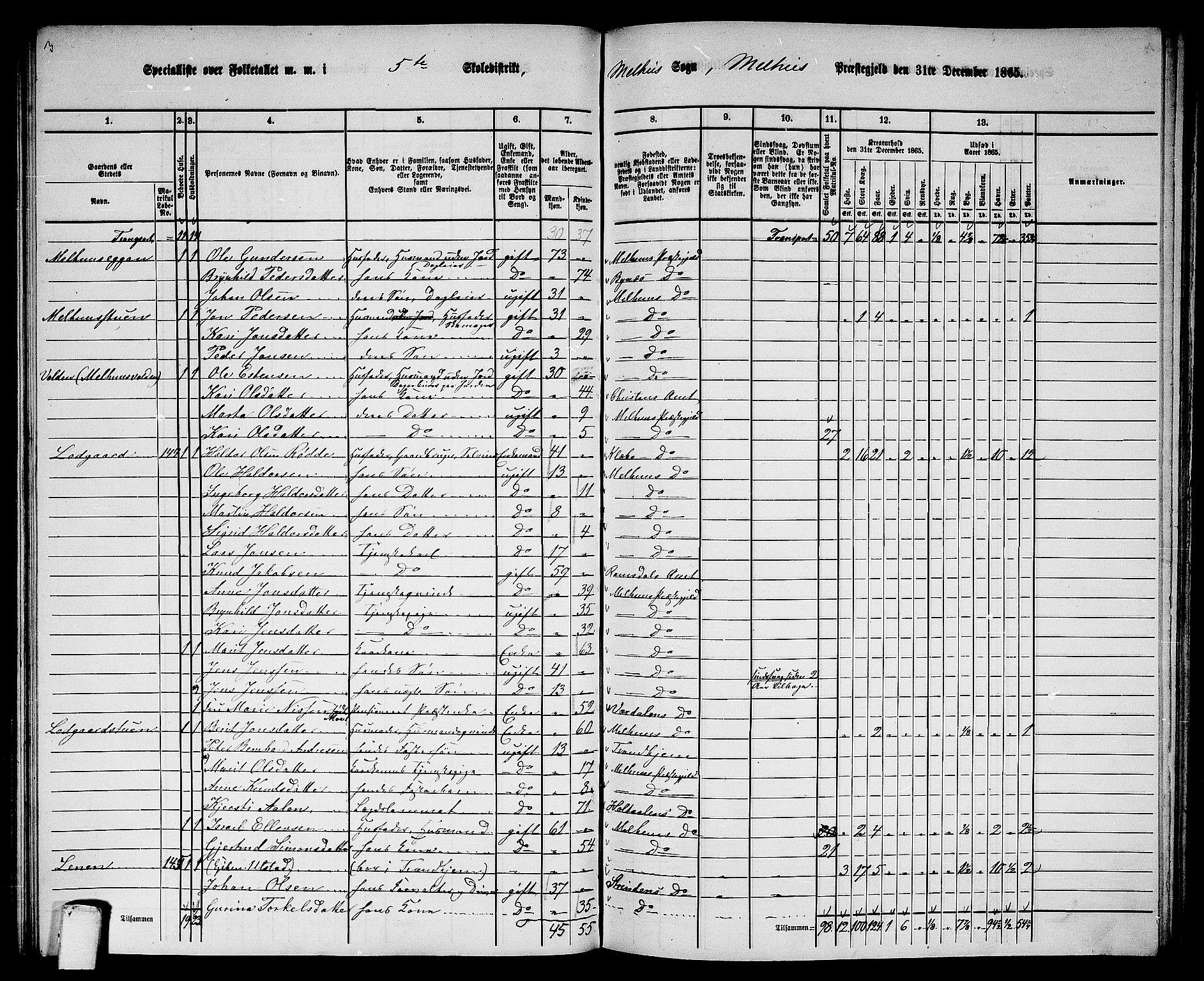 RA, 1865 census for Melhus, 1865, p. 105