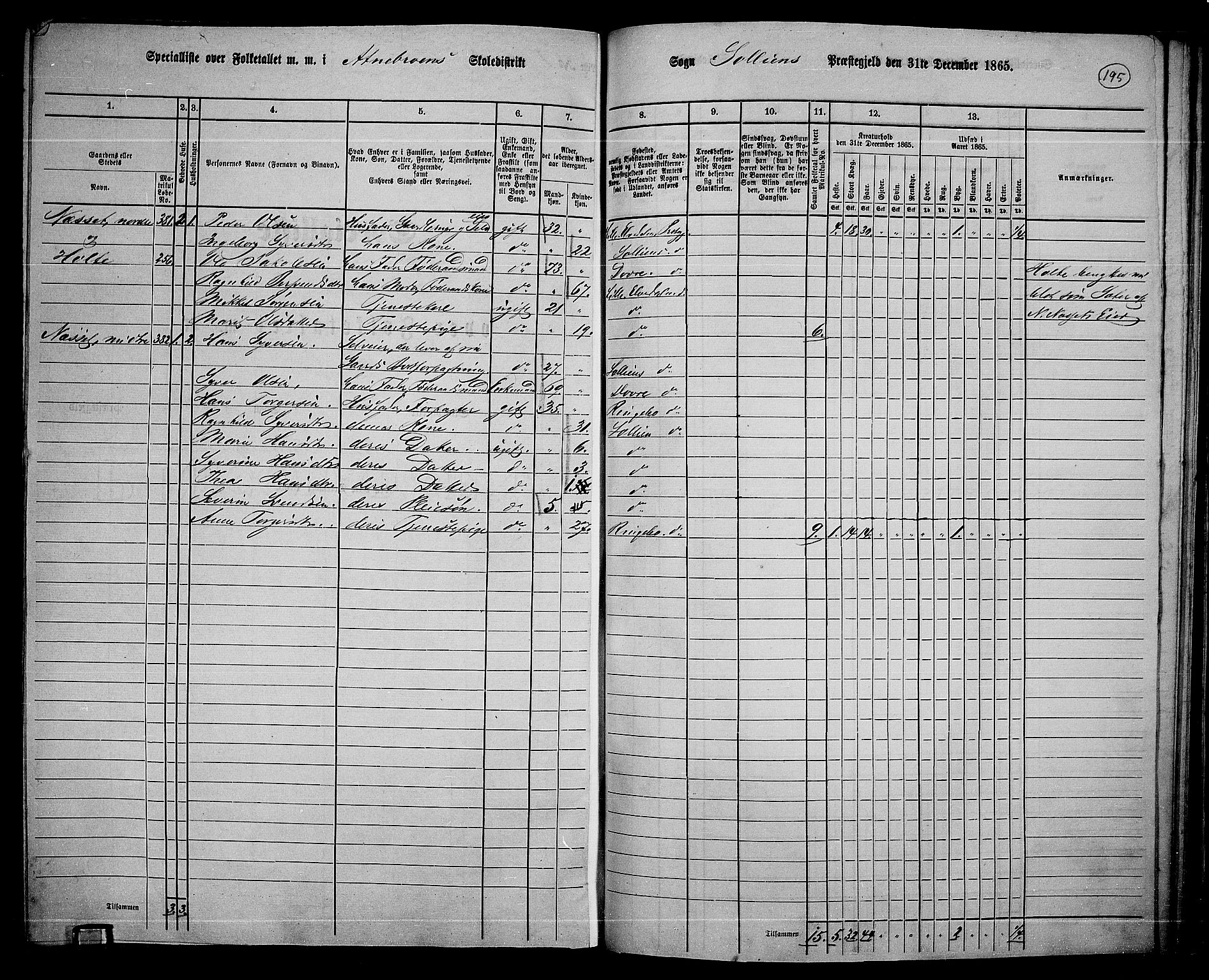 RA, 1865 census for Sollia, 1865, p. 5