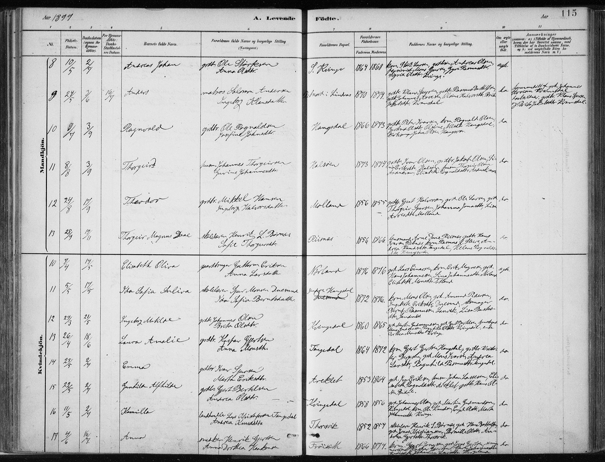Masfjorden sokneprestembete, AV/SAB-A-77001: Parish register (official) no. B  1, 1876-1899, p. 115