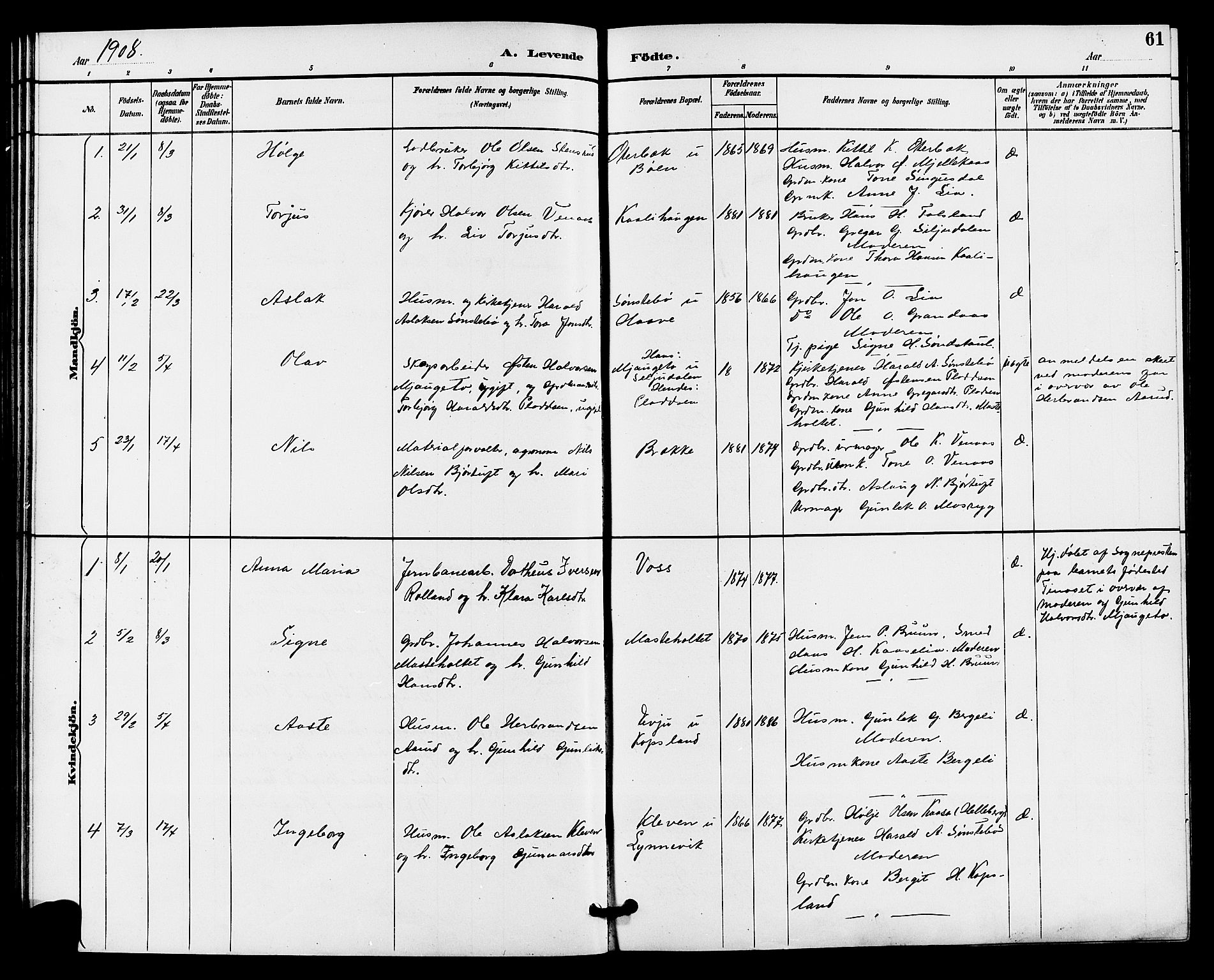 Gransherad kirkebøker, SAKO/A-267/G/Ga/L0003: Parish register (copy) no. I 3, 1887-1915, p. 61