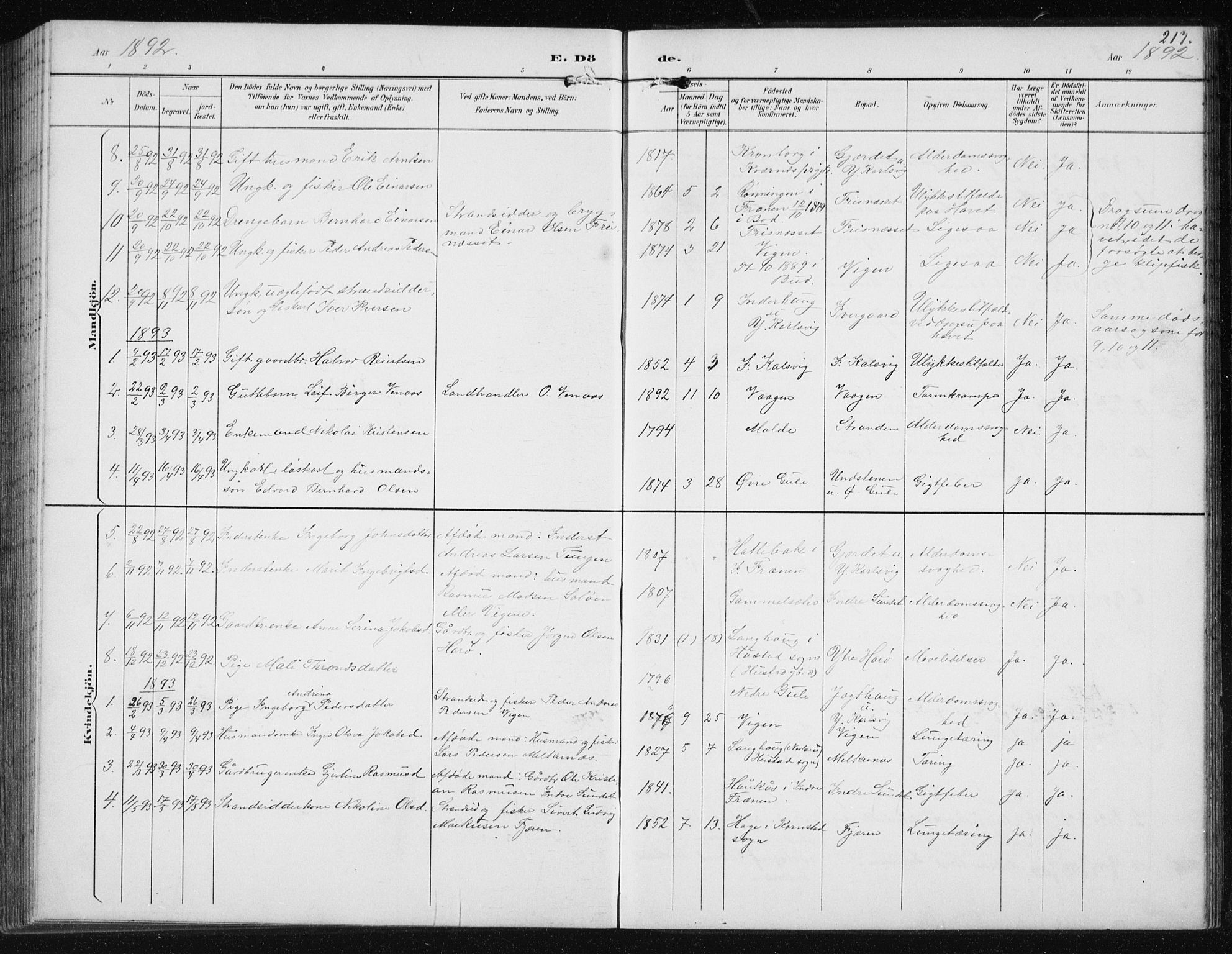 Ministerialprotokoller, klokkerbøker og fødselsregistre - Møre og Romsdal, AV/SAT-A-1454/566/L0773: Parish register (copy) no. 566C02, 1892-1909, p. 217