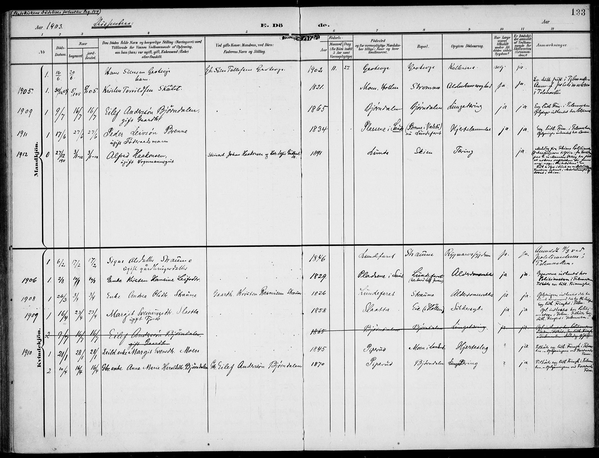 Lunde kirkebøker, AV/SAKO-A-282/F/Fa/L0004: Parish register (official) no. I 4, 1902-1913, p. 133