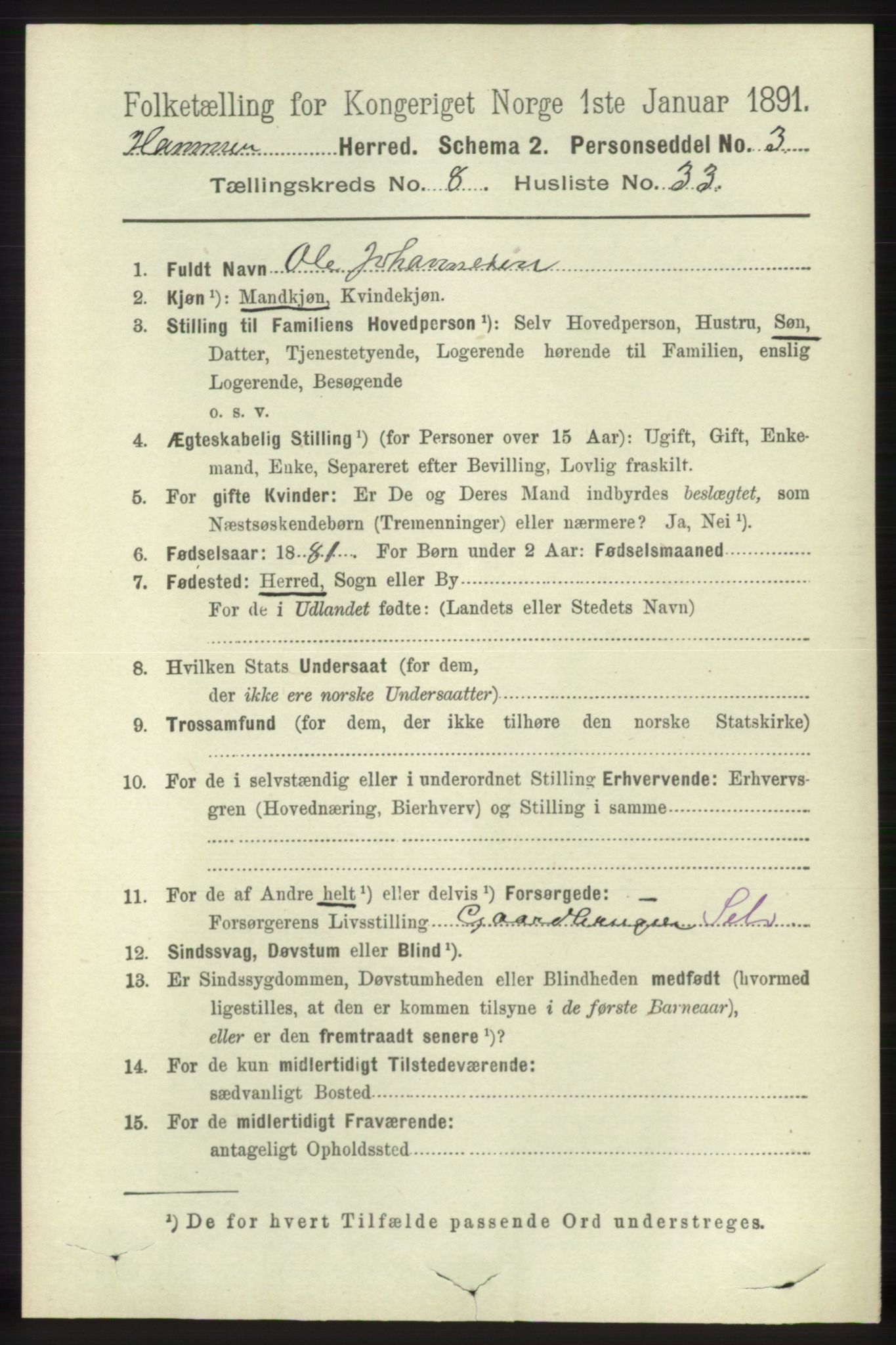 RA, 1891 census for 1254 Hamre, 1891, p. 2205