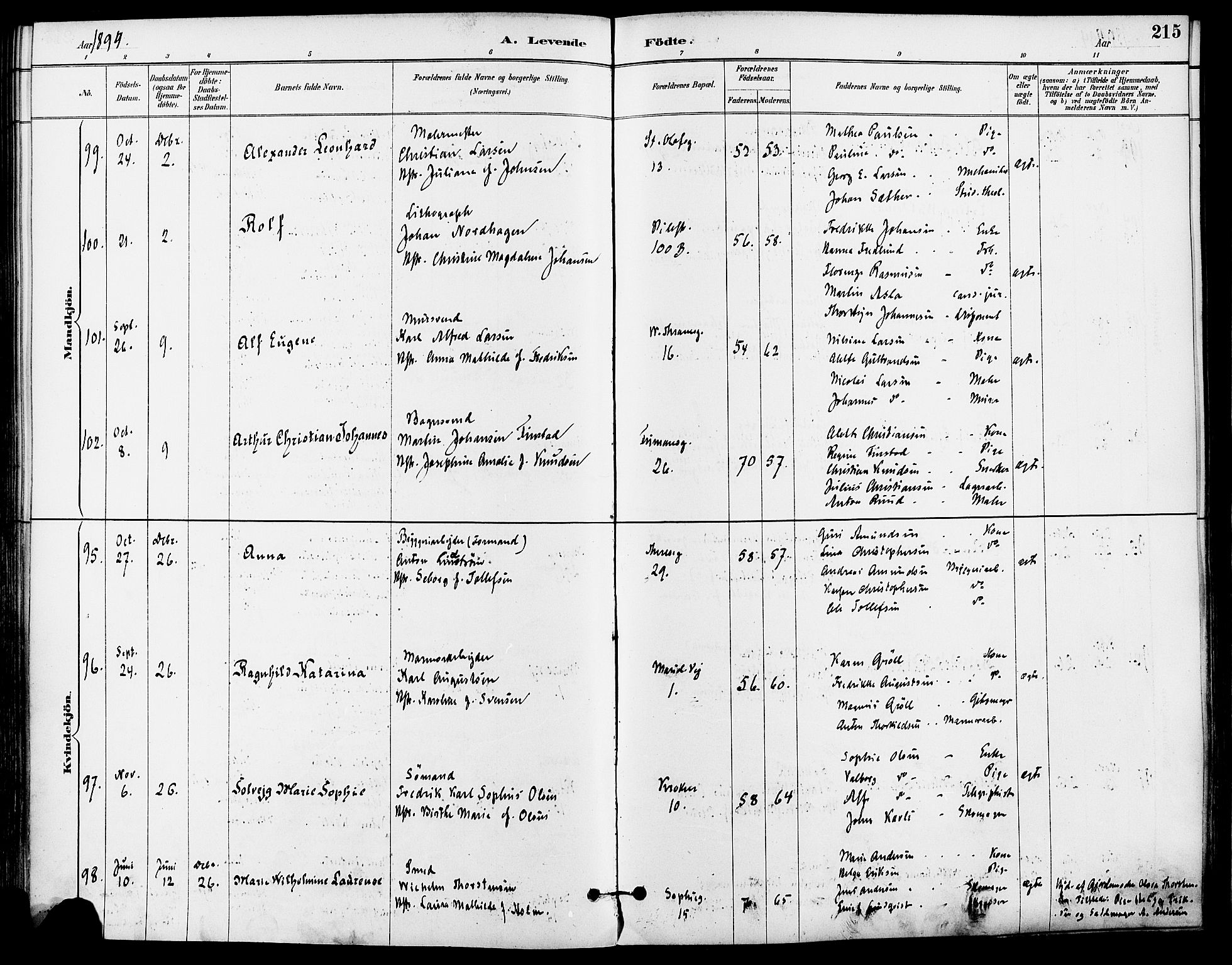 Gamle Aker prestekontor Kirkebøker, AV/SAO-A-10617a/F/L0008: Parish register (official) no. 8, 1887-1896, p. 215