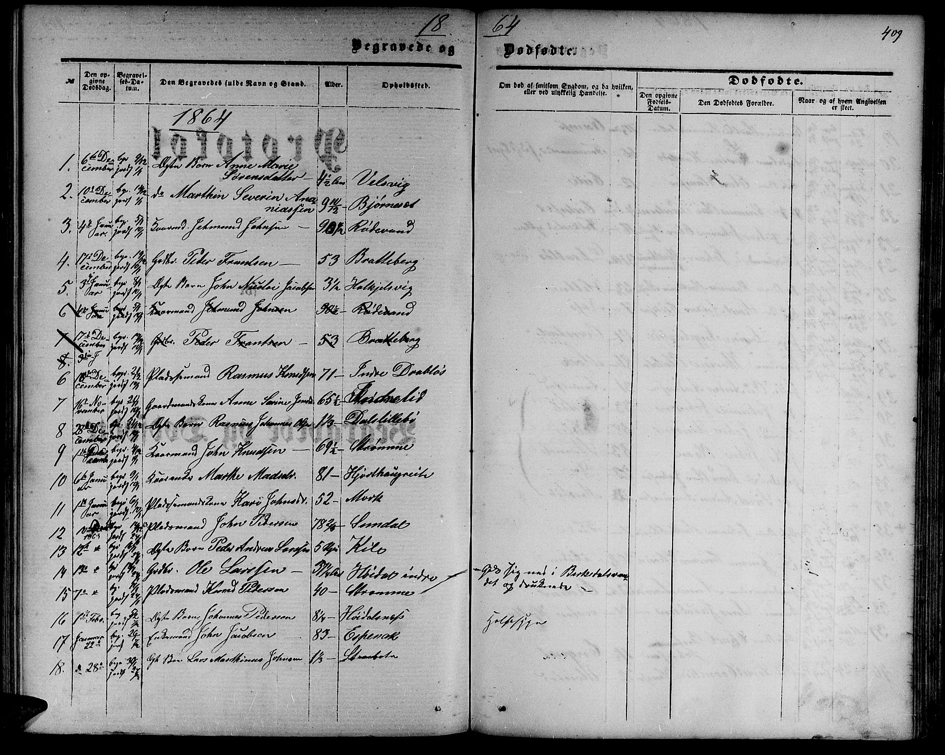 Ministerialprotokoller, klokkerbøker og fødselsregistre - Møre og Romsdal, AV/SAT-A-1454/511/L0157: Parish register (copy) no. 511C03, 1864-1884, p. 409