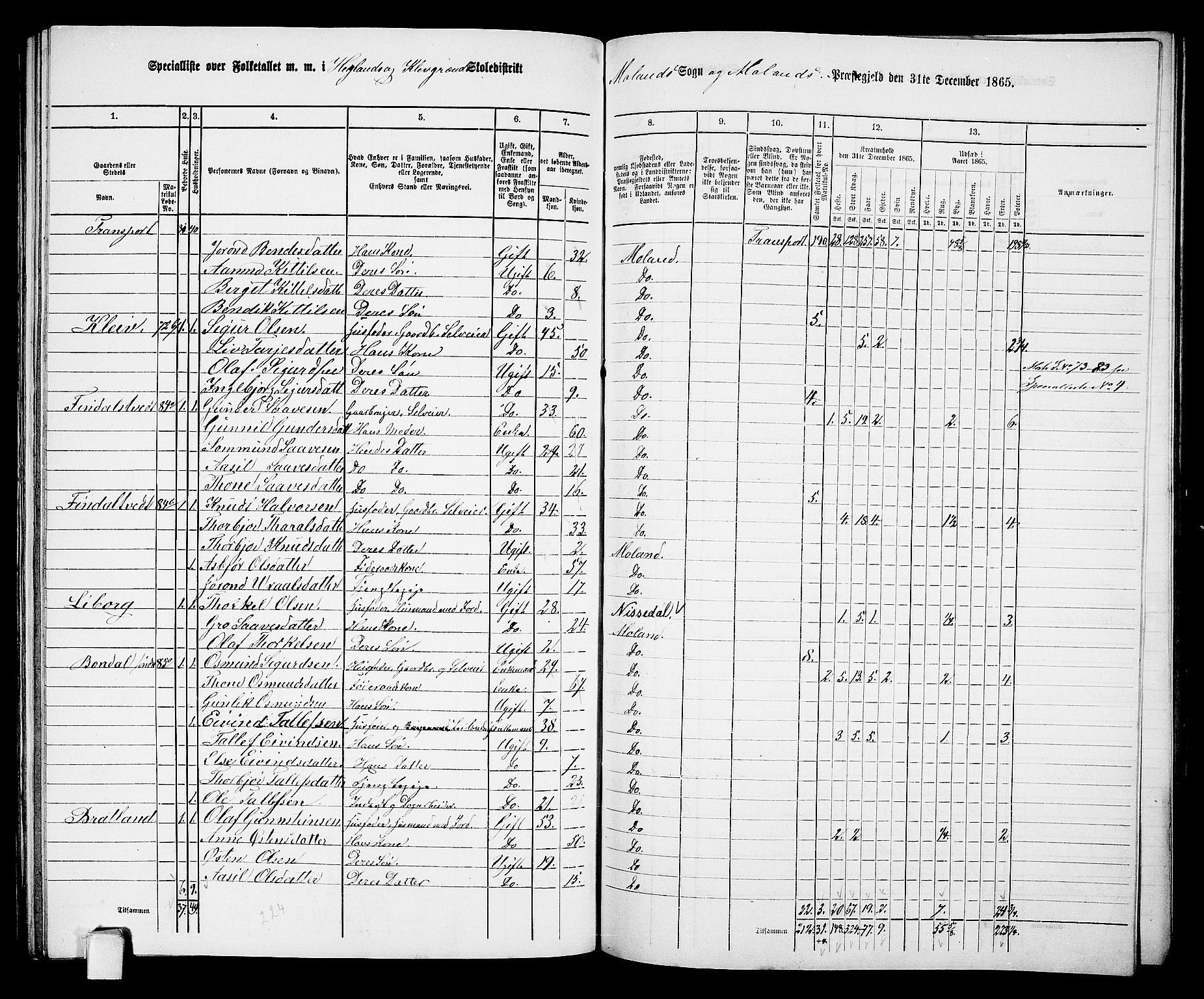 RA, 1865 census for Moland, 1865, p. 66