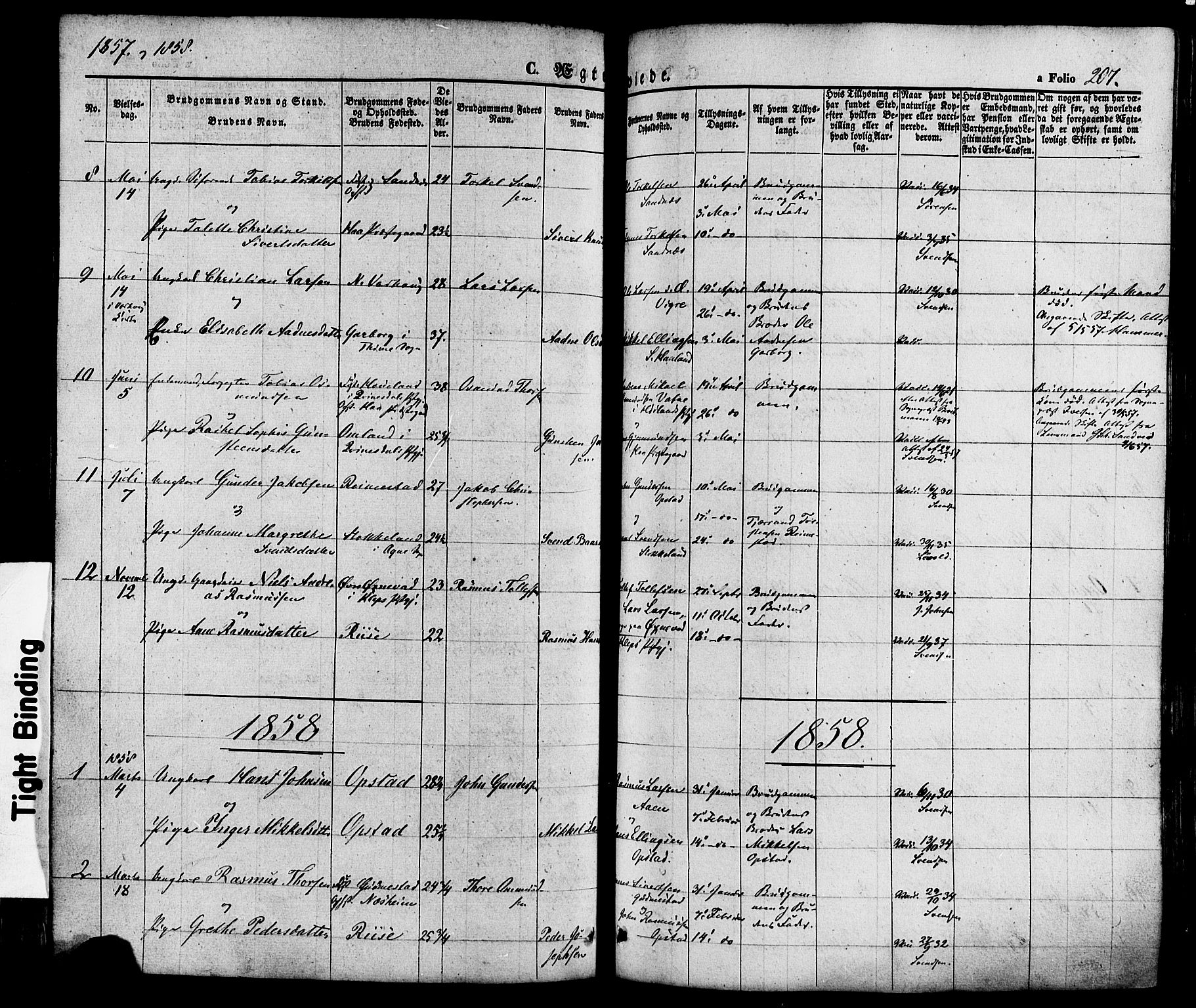 Hå sokneprestkontor, SAST/A-101801/001/30BA/L0008: Parish register (official) no. A 7, 1853-1878, p. 207