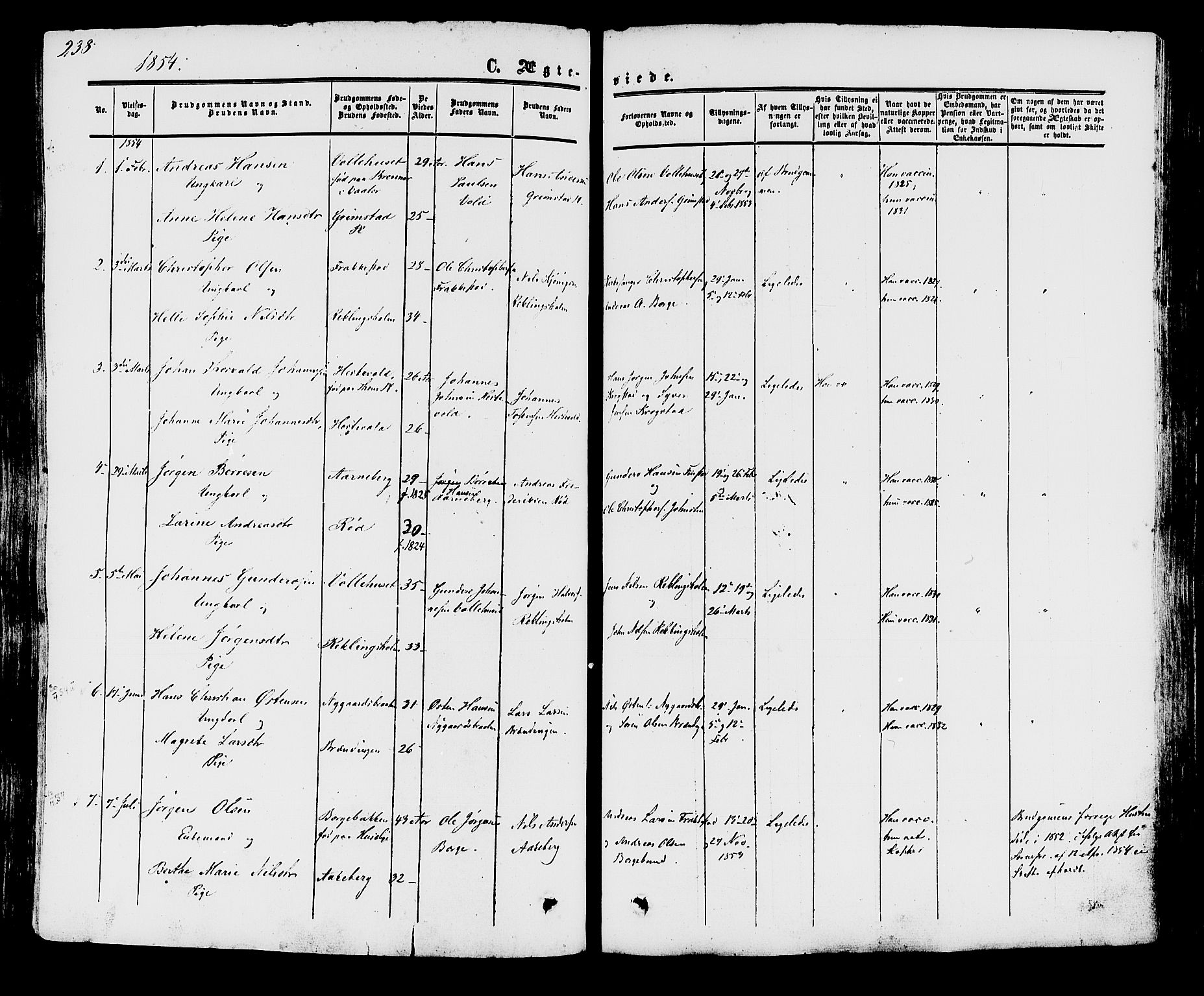 Råde prestekontor kirkebøker, AV/SAO-A-2009/F/Fa/L0006: Parish register (official) no. 6, 1854-1877, p. 238