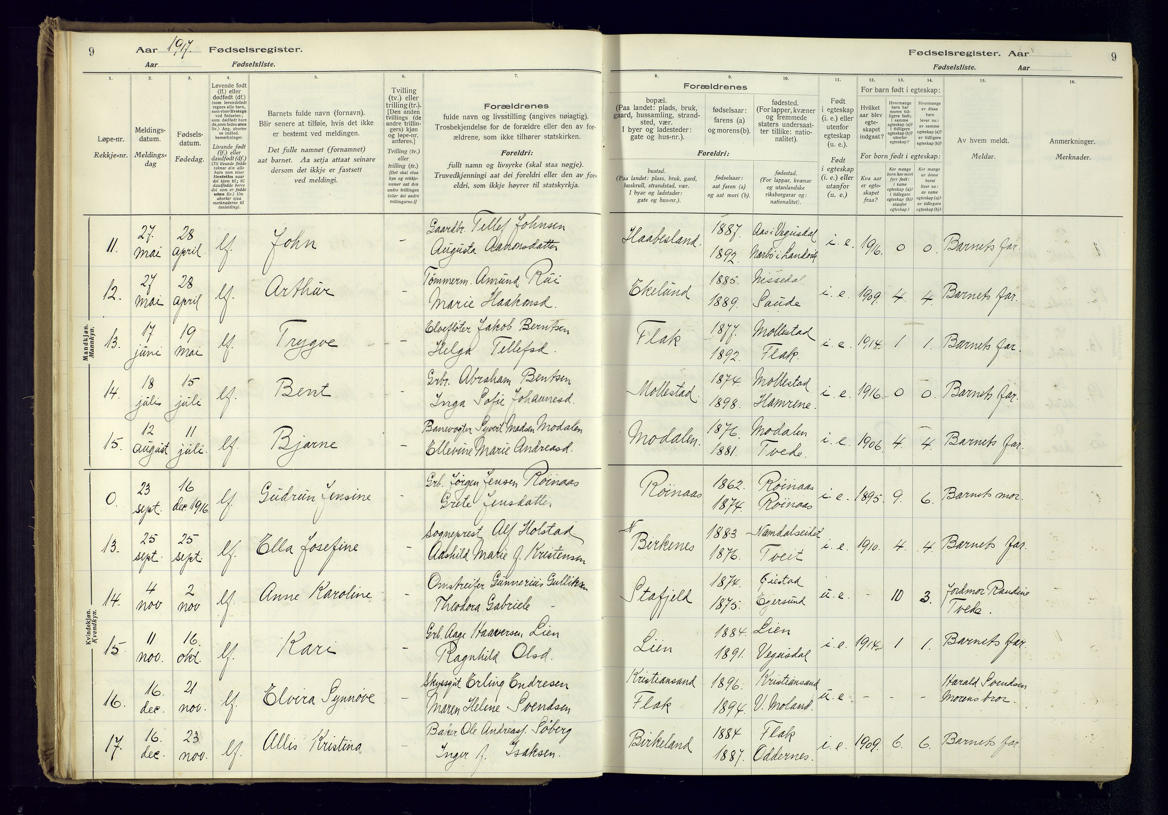 Birkenes sokneprestkontor, AV/SAK-1111-0004/J/Ja/L0001: Birth register no. II.6.4, 1916-1962, p. 9