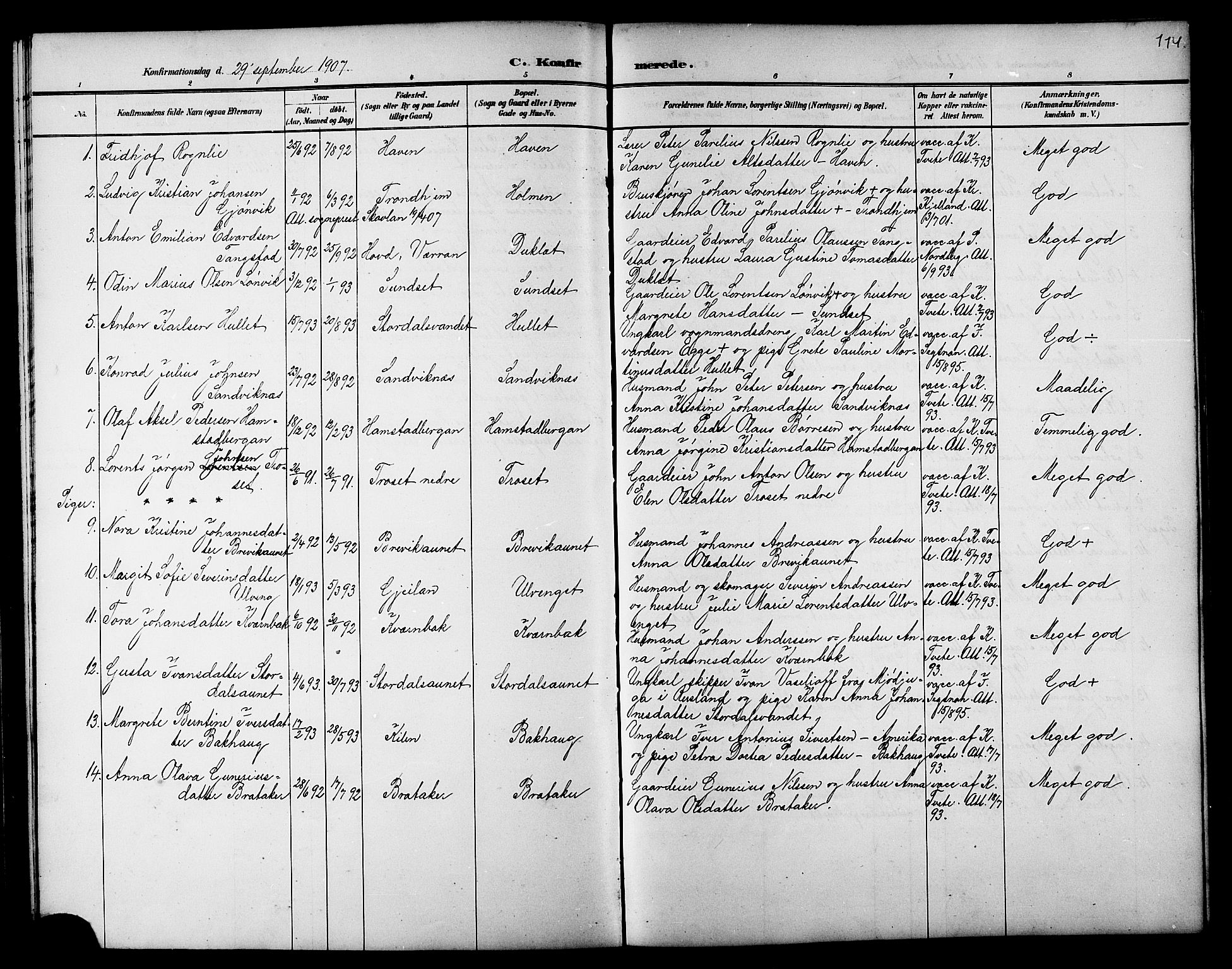 Ministerialprotokoller, klokkerbøker og fødselsregistre - Nord-Trøndelag, SAT/A-1458/733/L0327: Parish register (copy) no. 733C02, 1888-1918, p. 114