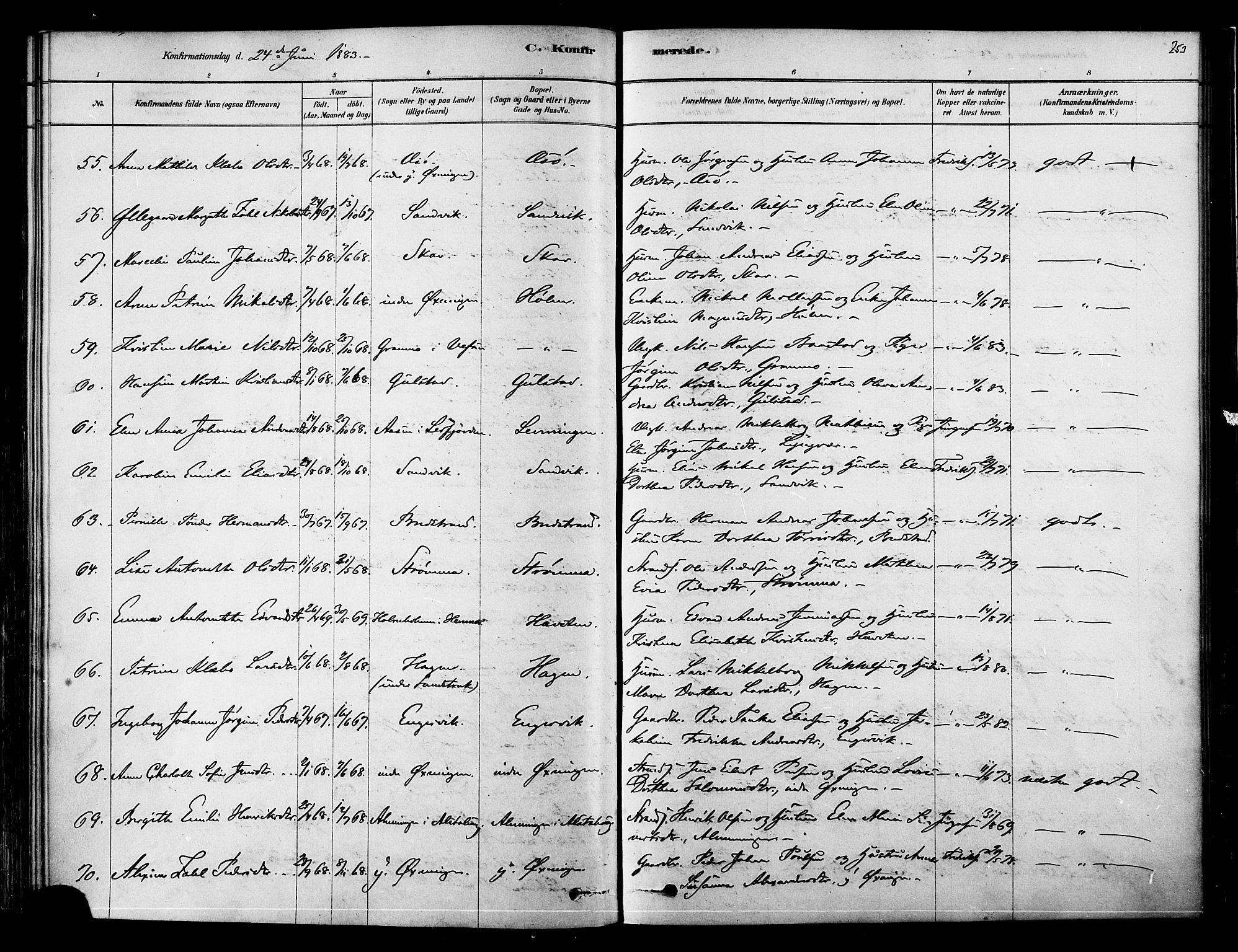 Ministerialprotokoller, klokkerbøker og fødselsregistre - Nordland, AV/SAT-A-1459/834/L0507: Parish register (official) no. 834A05, 1878-1892, p. 253