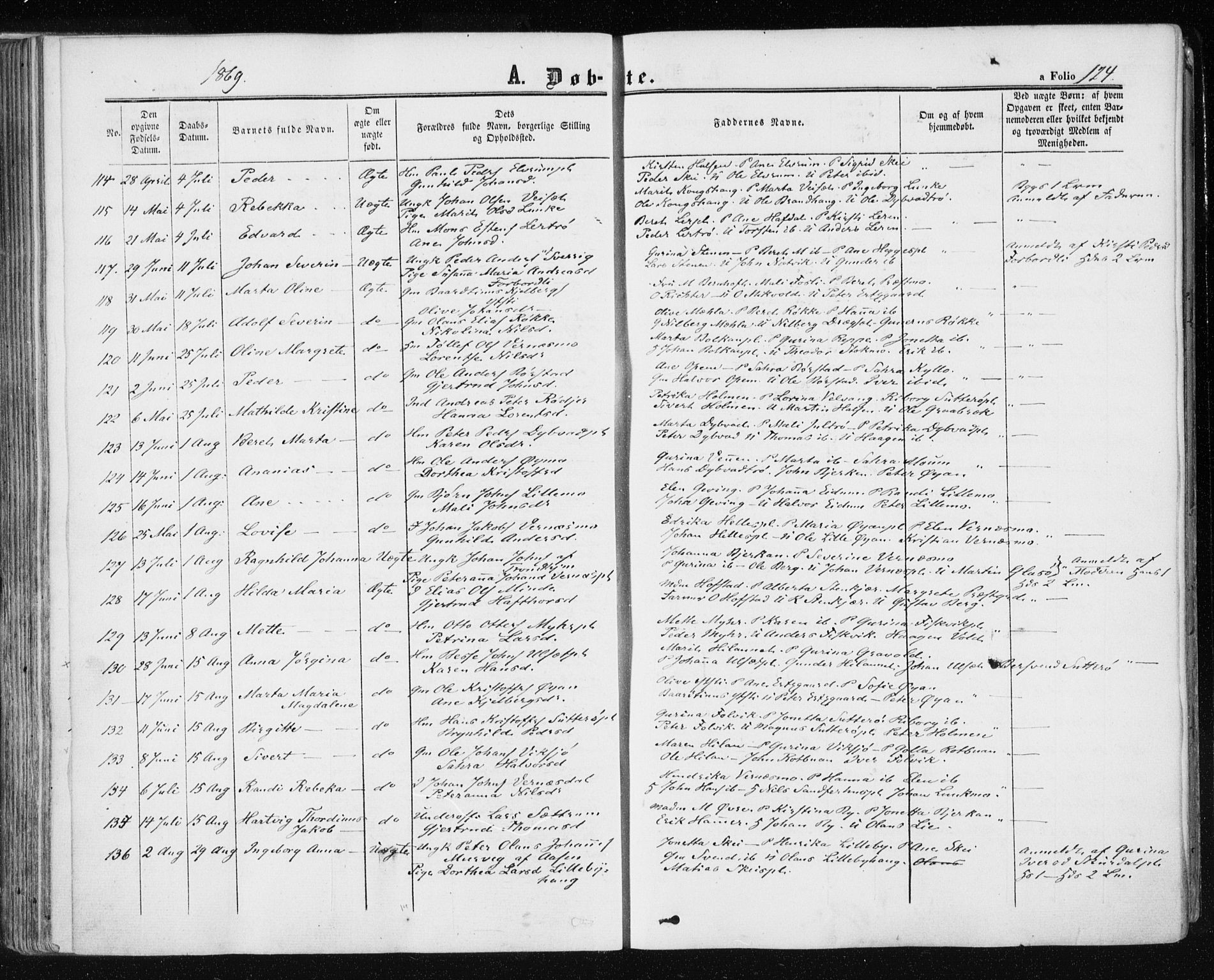 Ministerialprotokoller, klokkerbøker og fødselsregistre - Nord-Trøndelag, AV/SAT-A-1458/709/L0075: Parish register (official) no. 709A15, 1859-1870, p. 124