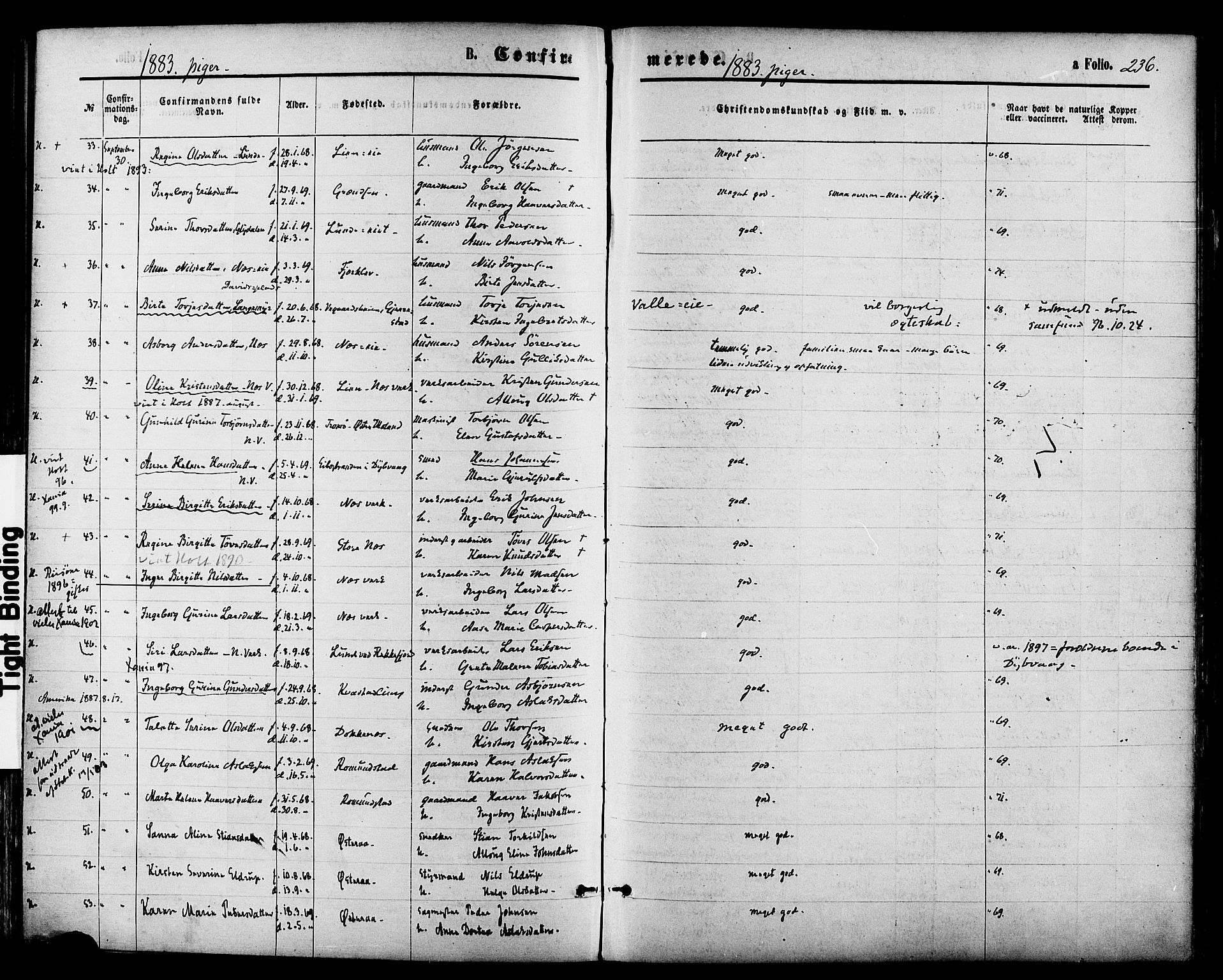 Holt sokneprestkontor, AV/SAK-1111-0021/F/Fa/L0010: Parish register (official) no. A 10, 1872-1885, p. 236