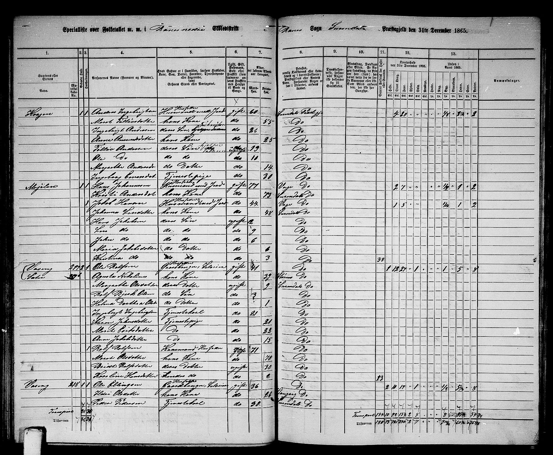 RA, 1865 census for Surnadal, 1865, p. 84