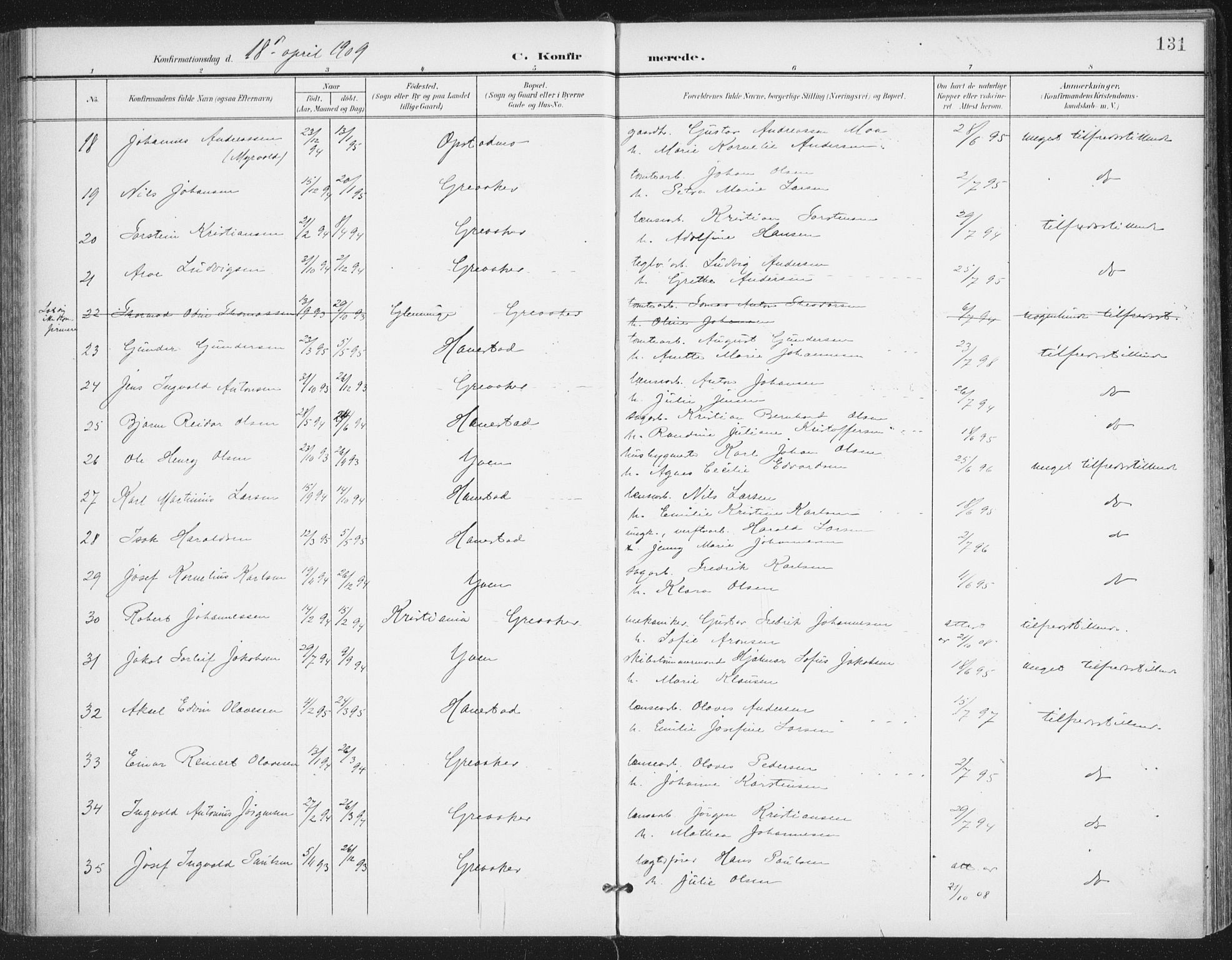 Rolvsøy prestekontor Kirkebøker, AV/SAO-A-2004/F/Fa/L0001: Parish register (official) no. 1, 1901-1909, p. 131