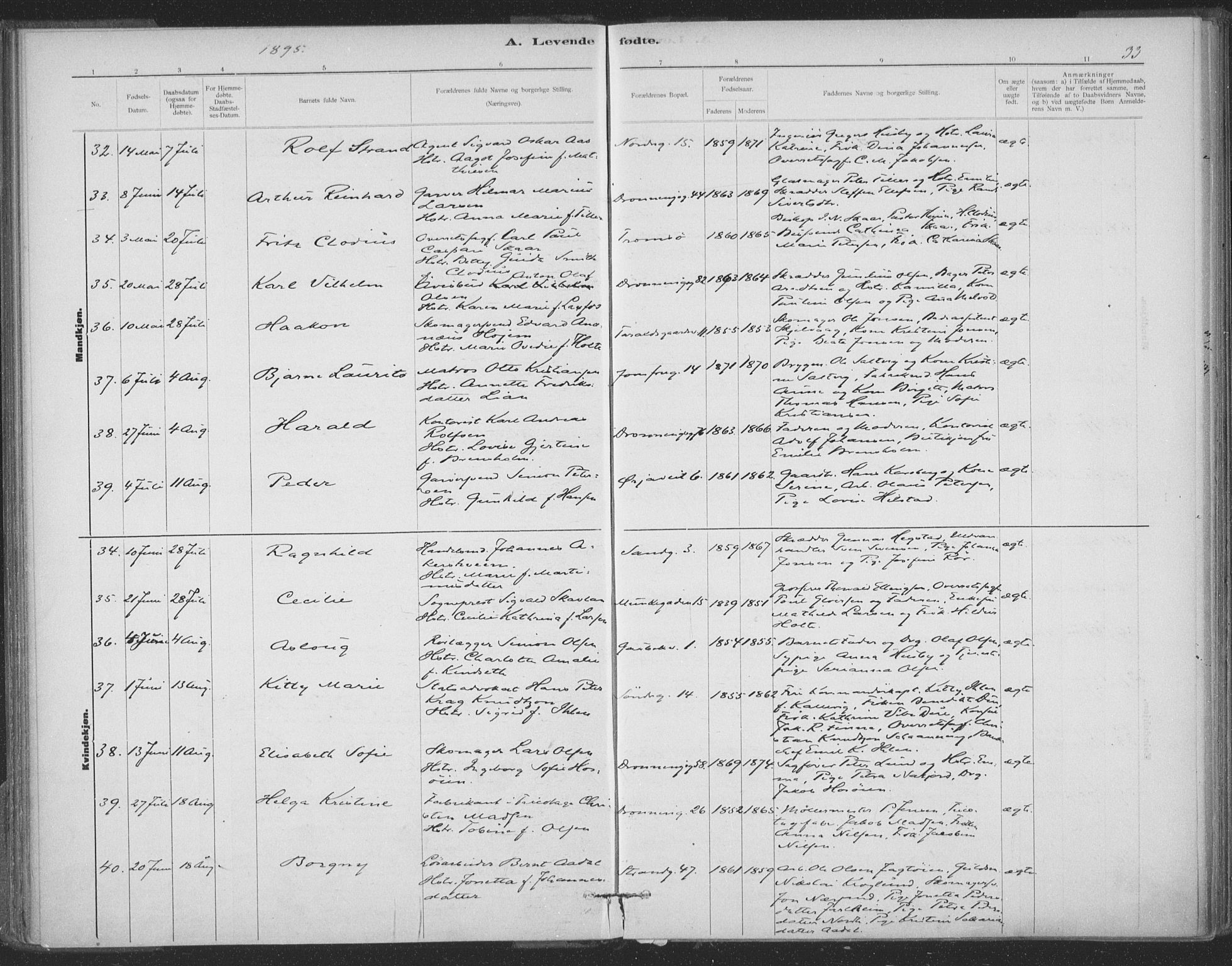 Ministerialprotokoller, klokkerbøker og fødselsregistre - Sør-Trøndelag, AV/SAT-A-1456/602/L0122: Parish register (official) no. 602A20, 1892-1908, p. 33