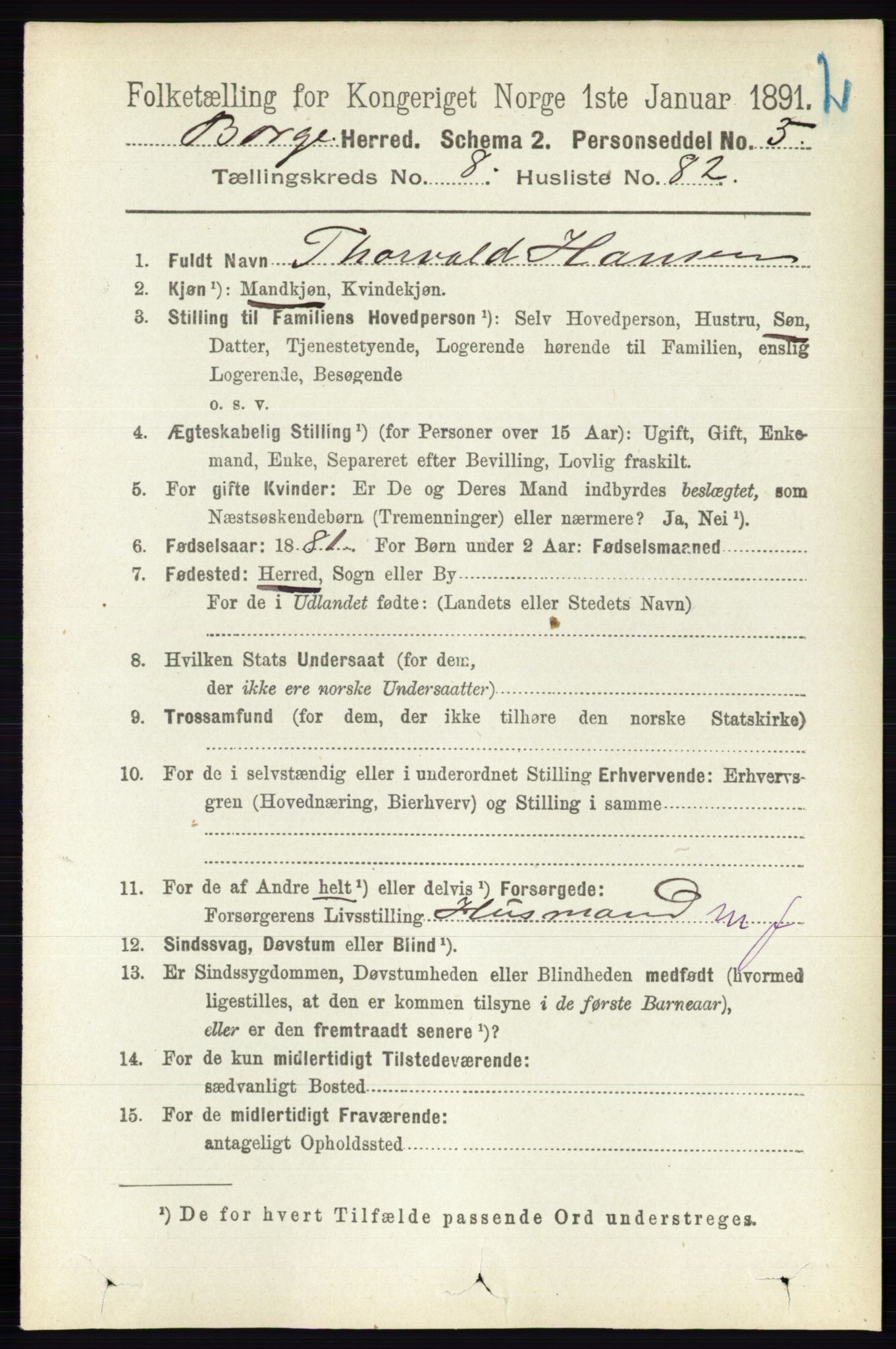 RA, 1891 census for 0113 Borge, 1891, p. 5677