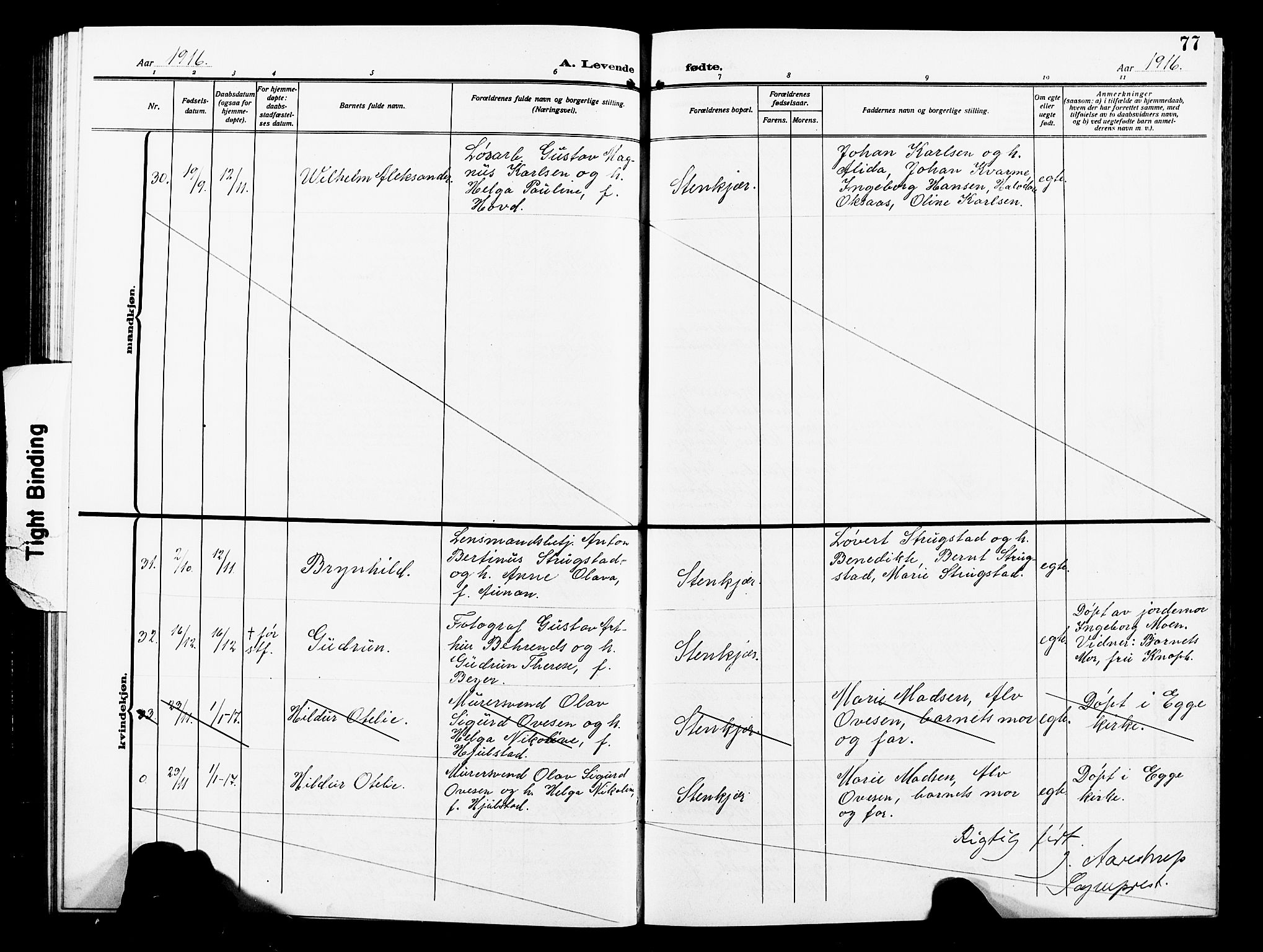 Ministerialprotokoller, klokkerbøker og fødselsregistre - Nord-Trøndelag, AV/SAT-A-1458/739/L0376: Parish register (copy) no. 739C04, 1908-1917, p. 77