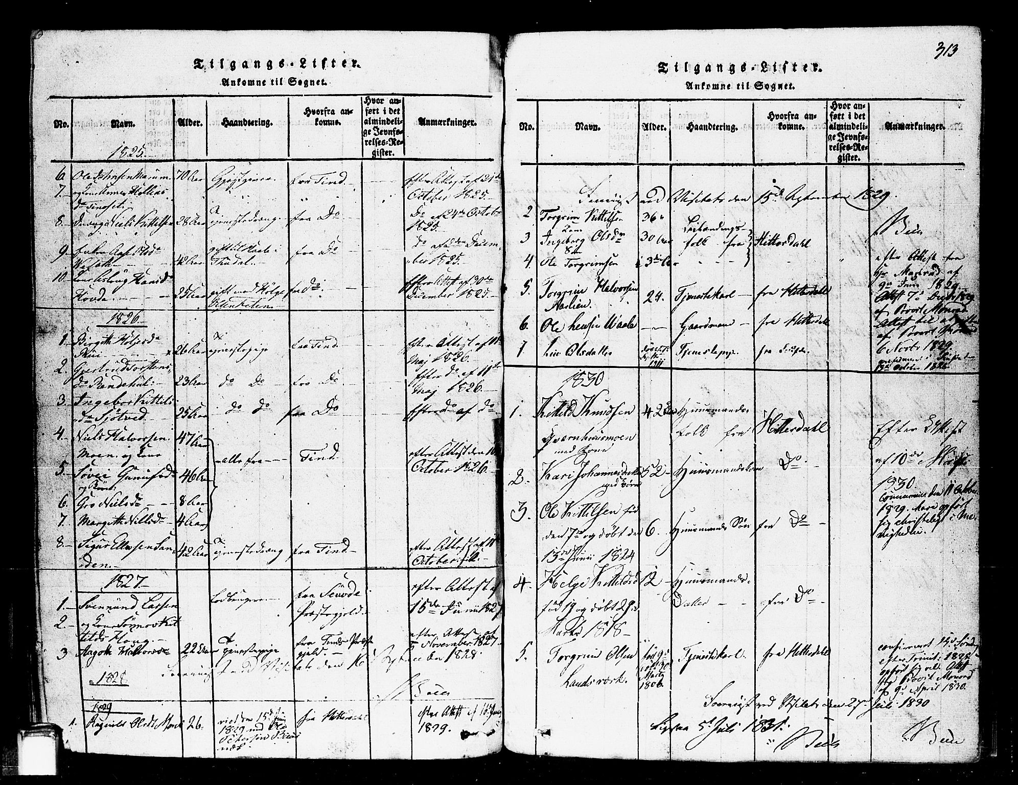 Gransherad kirkebøker, SAKO/A-267/F/Fa/L0001: Parish register (official) no. I 1, 1815-1843, p. 313