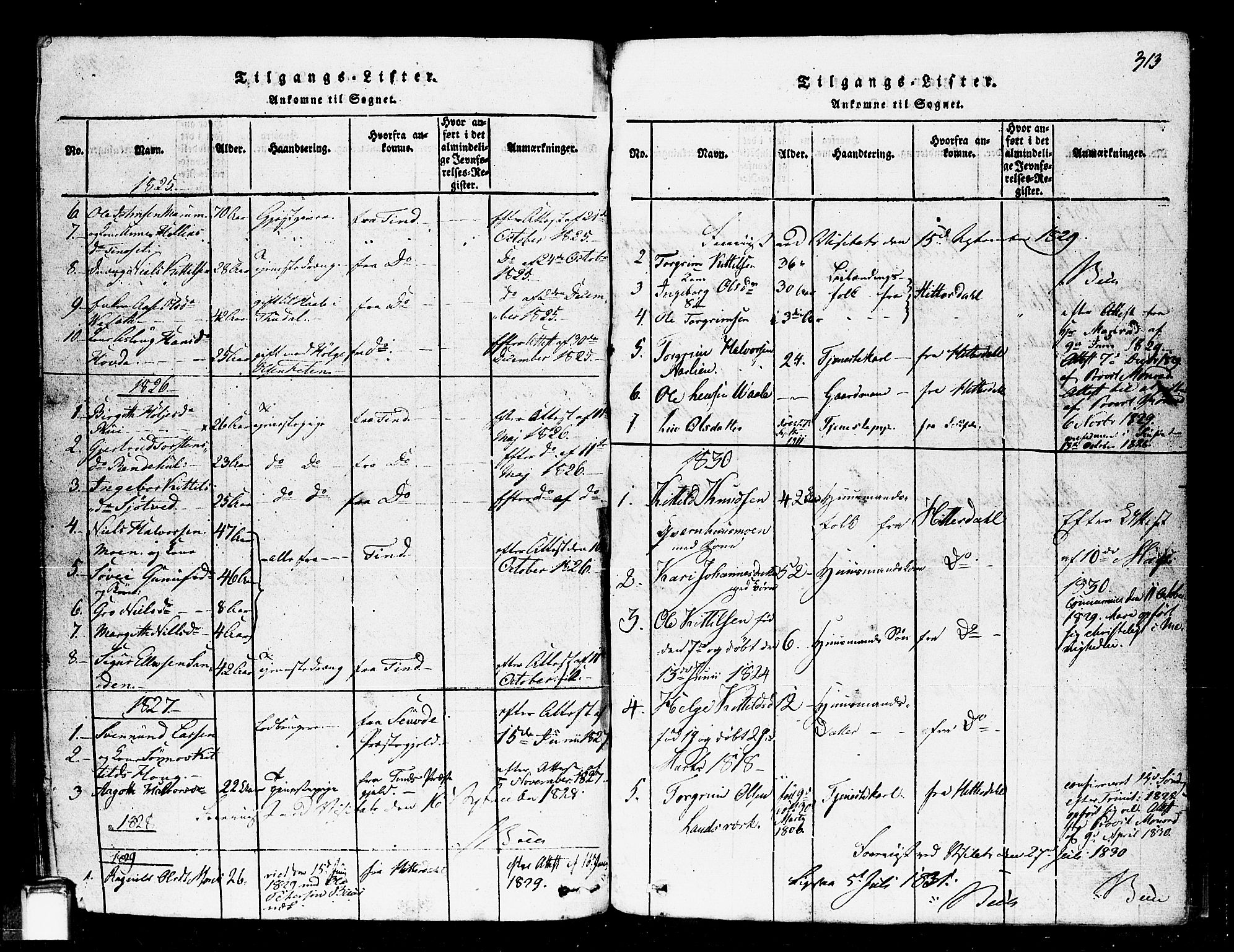 Gransherad kirkebøker, AV/SAKO-A-267/F/Fa/L0001: Parish register (official) no. I 1, 1815-1843, p. 313