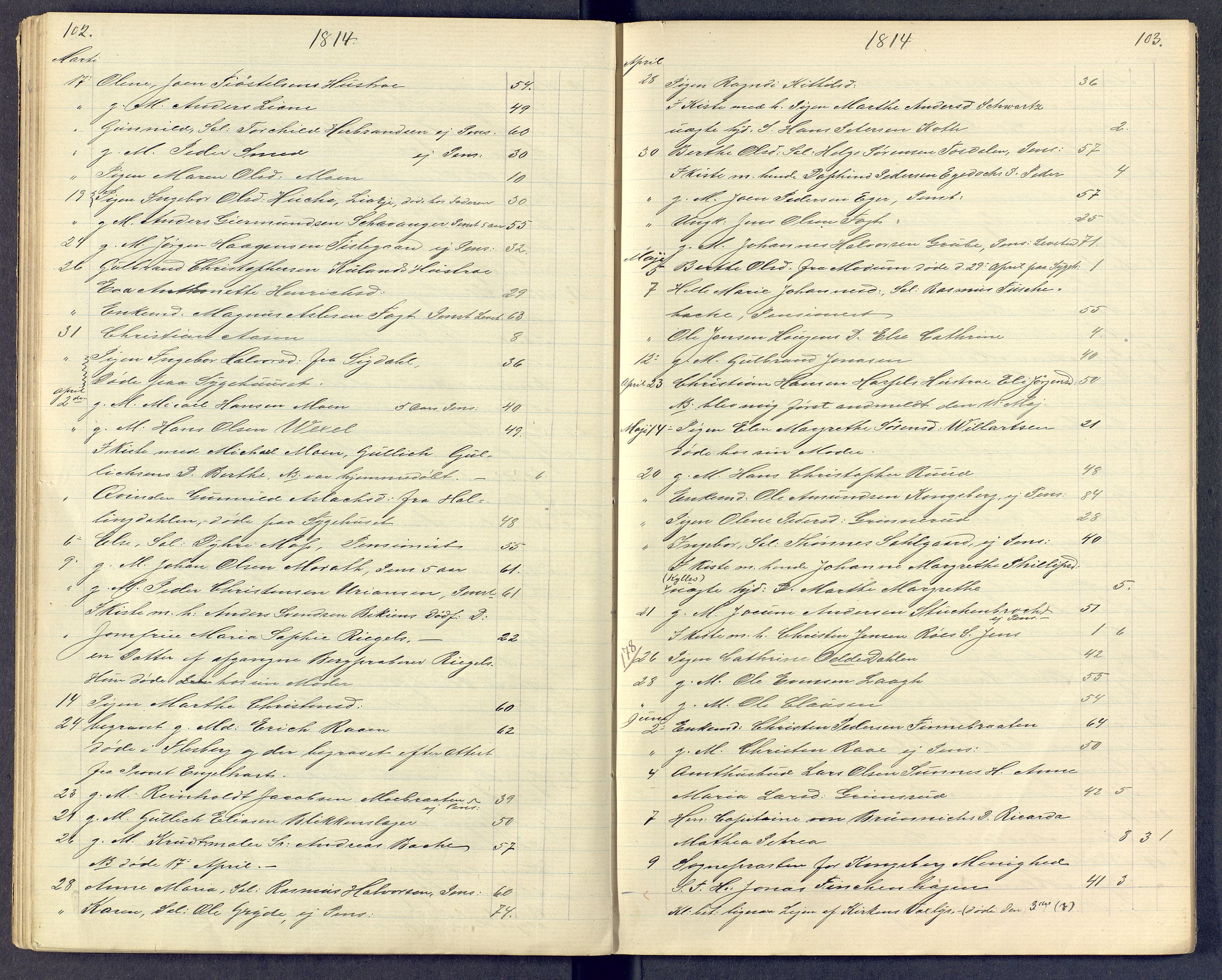 Kongsberg kirkebøker, SAKO/A-22/G/Ga/L0000e: Parish register (copy) no. 0e, 1795-1816, p. 102-103