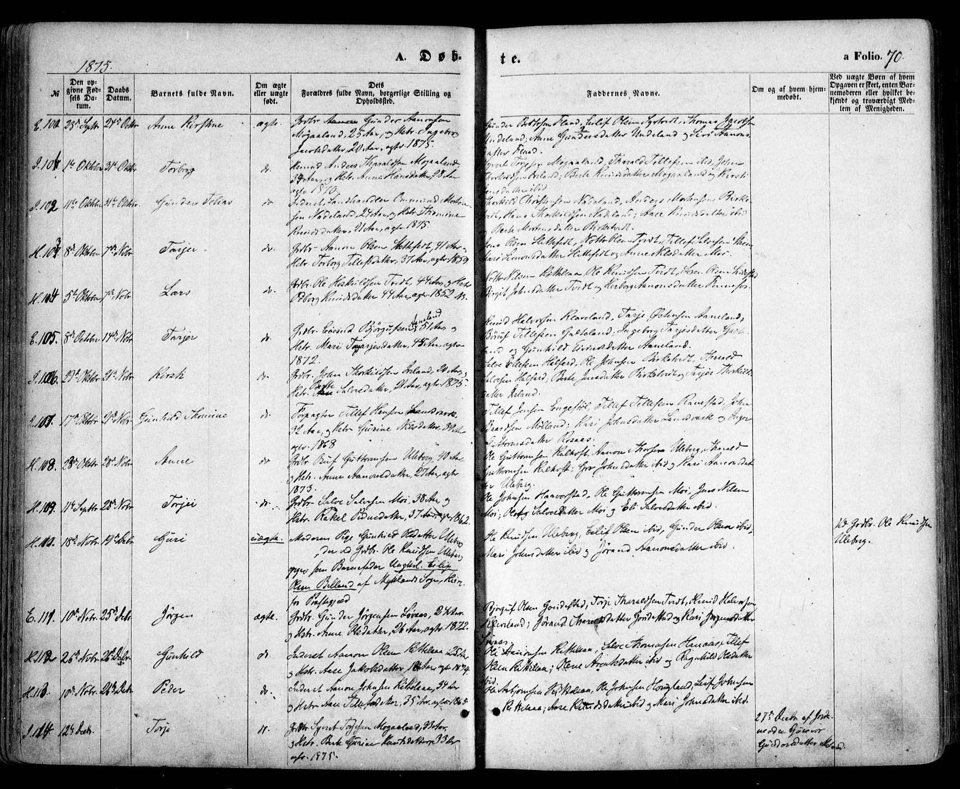 Evje sokneprestkontor, AV/SAK-1111-0008/F/Fa/Faa/L0006: Parish register (official) no. A 6, 1866-1884, p. 70