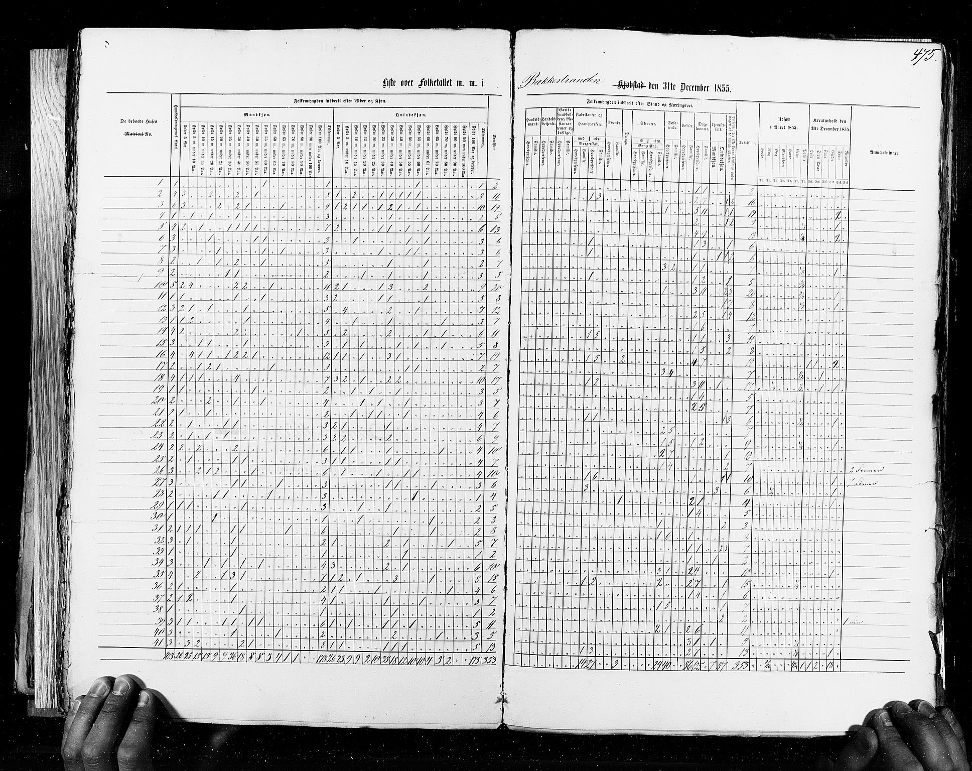 RA, Census 1855, vol. 8: Risør-Vadsø, 1855, p. 475