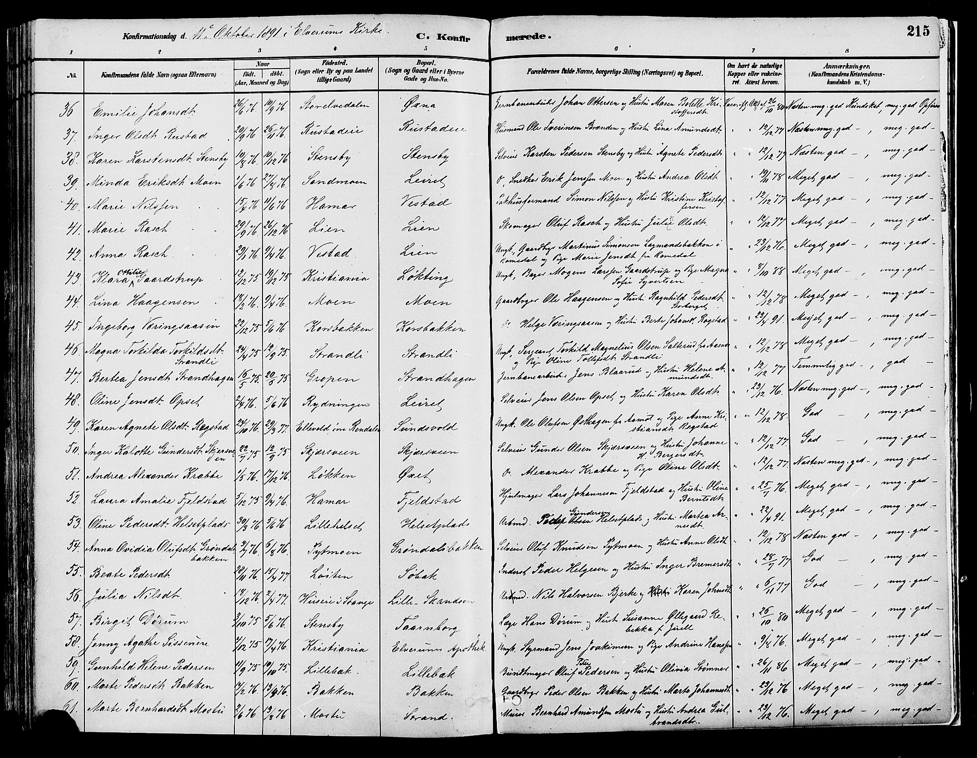 Elverum prestekontor, AV/SAH-PREST-044/H/Ha/Haa/L0013: Parish register (official) no. 13, 1880-1890, p. 215