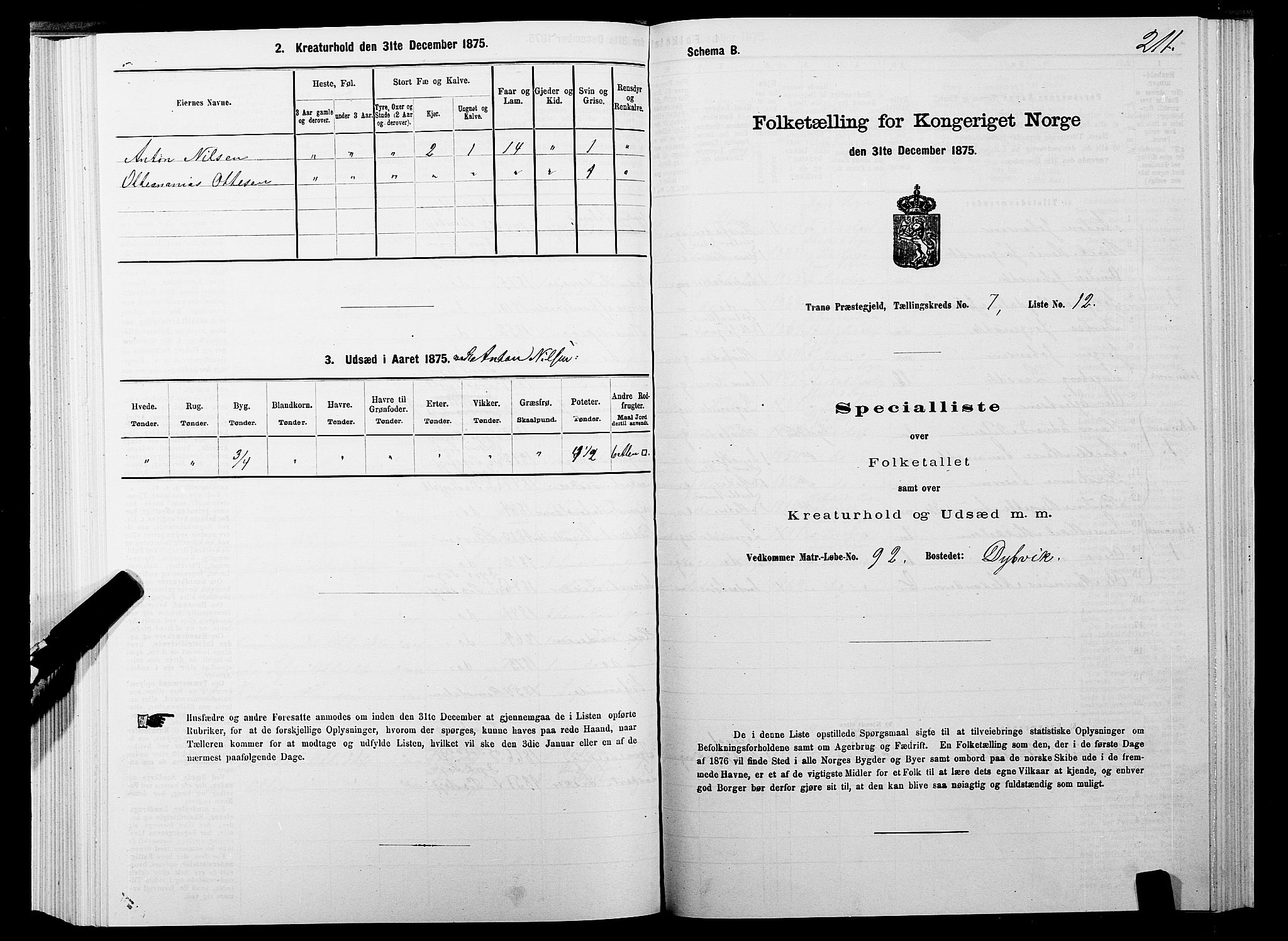 SATØ, 1875 census for 1927P Tranøy, 1875, p. 3211
