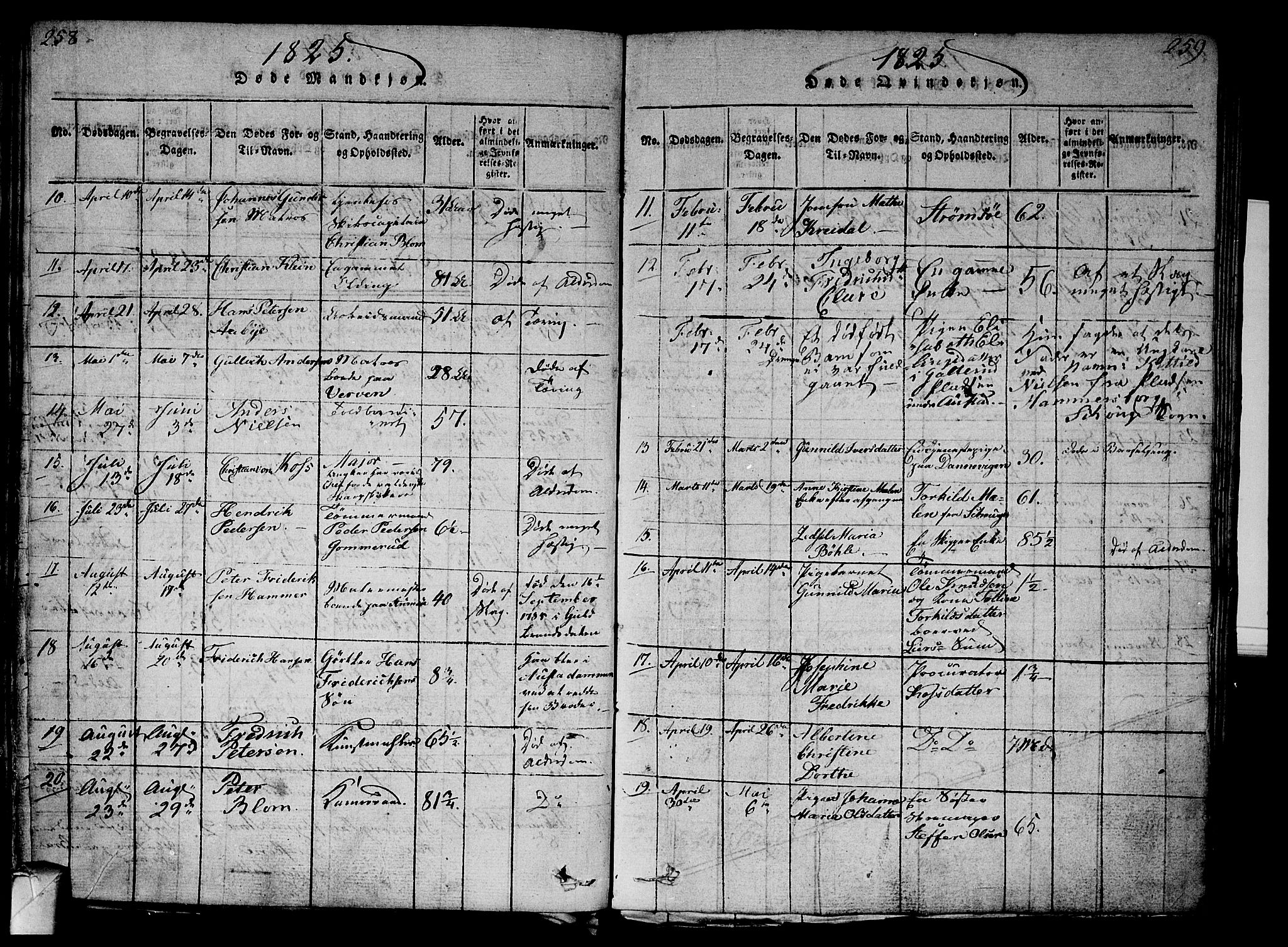 Strømsø kirkebøker, AV/SAKO-A-246/G/Ga/L0001: Parish register (copy) no. 1, 1815-1829, p. 258-259