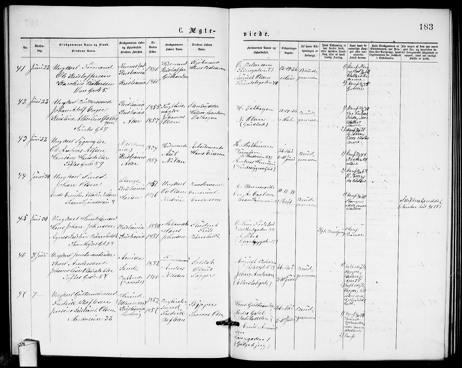 Paulus prestekontor Kirkebøker, AV/SAO-A-10871/G/Ga/L0001: Parish register (copy) no. 1, 1875-1878, p. 183