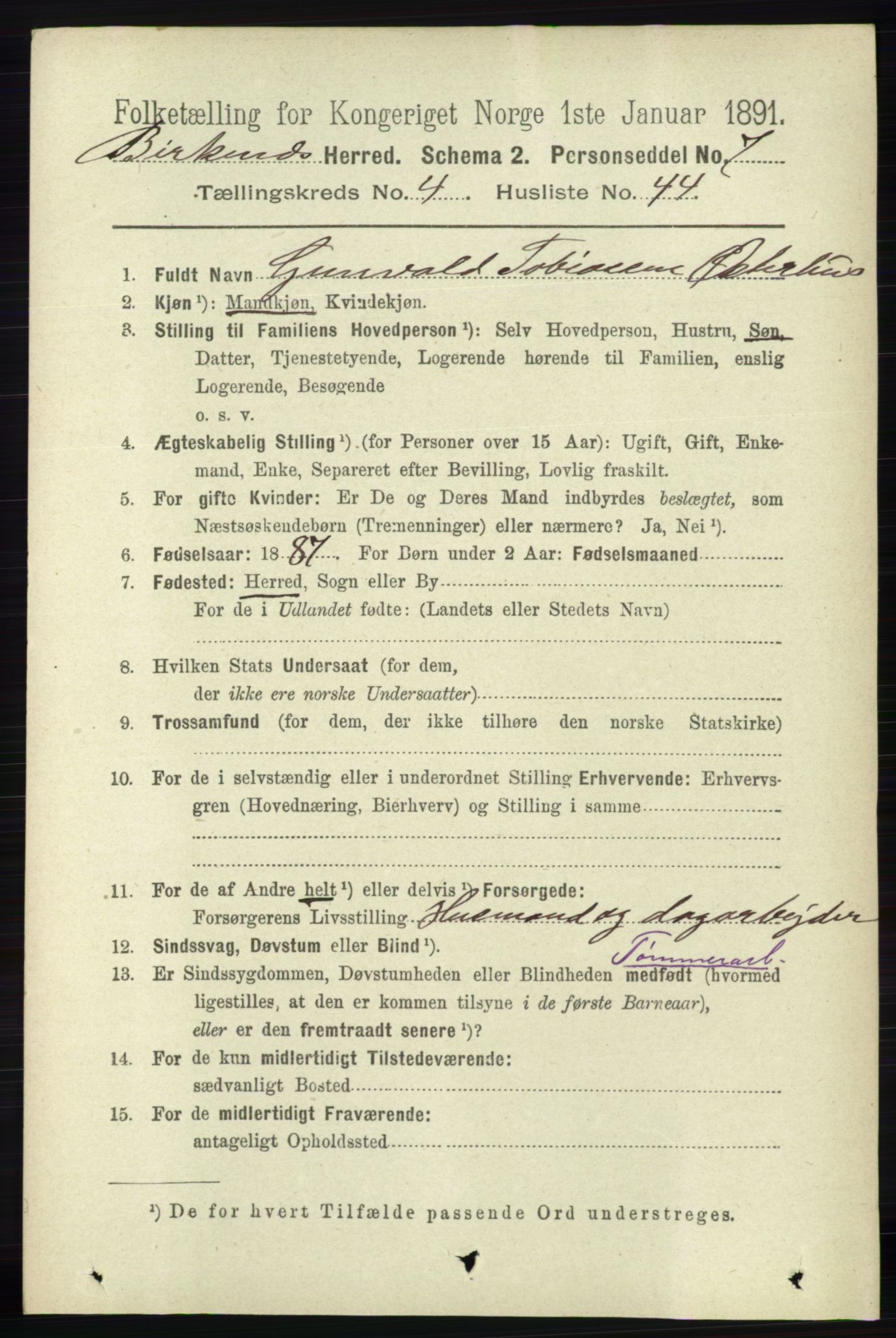 RA, 1891 Census for 0928 Birkenes, 1891, p. 1493