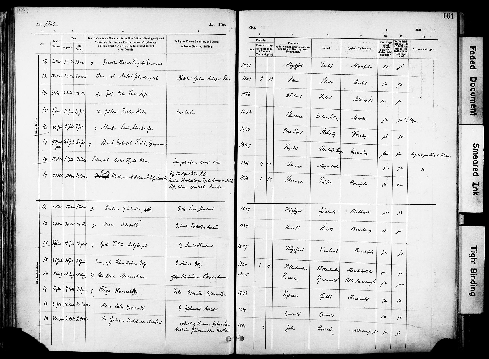 Hetland sokneprestkontor, AV/SAST-A-101826/30/30BA/L0012: Parish register (official) no. A 12, 1882-1912, p. 161