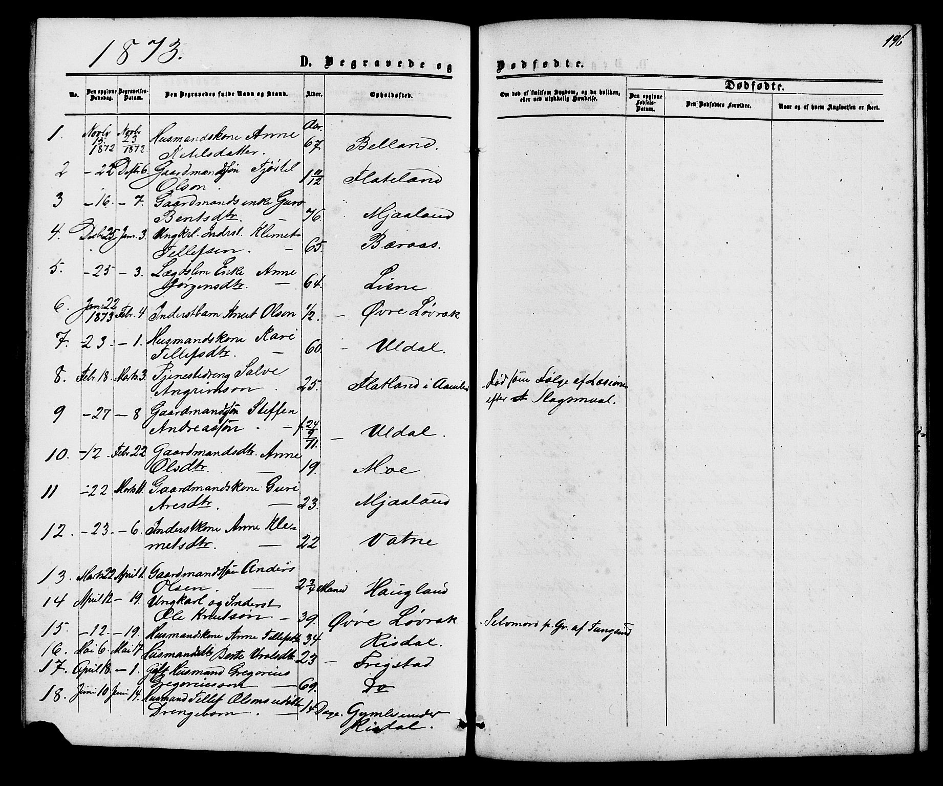 Herefoss sokneprestkontor, SAK/1111-0019/F/Fb/Fbc/L0002: Parish register (copy) no. B 2, 1867-1886, p. 196