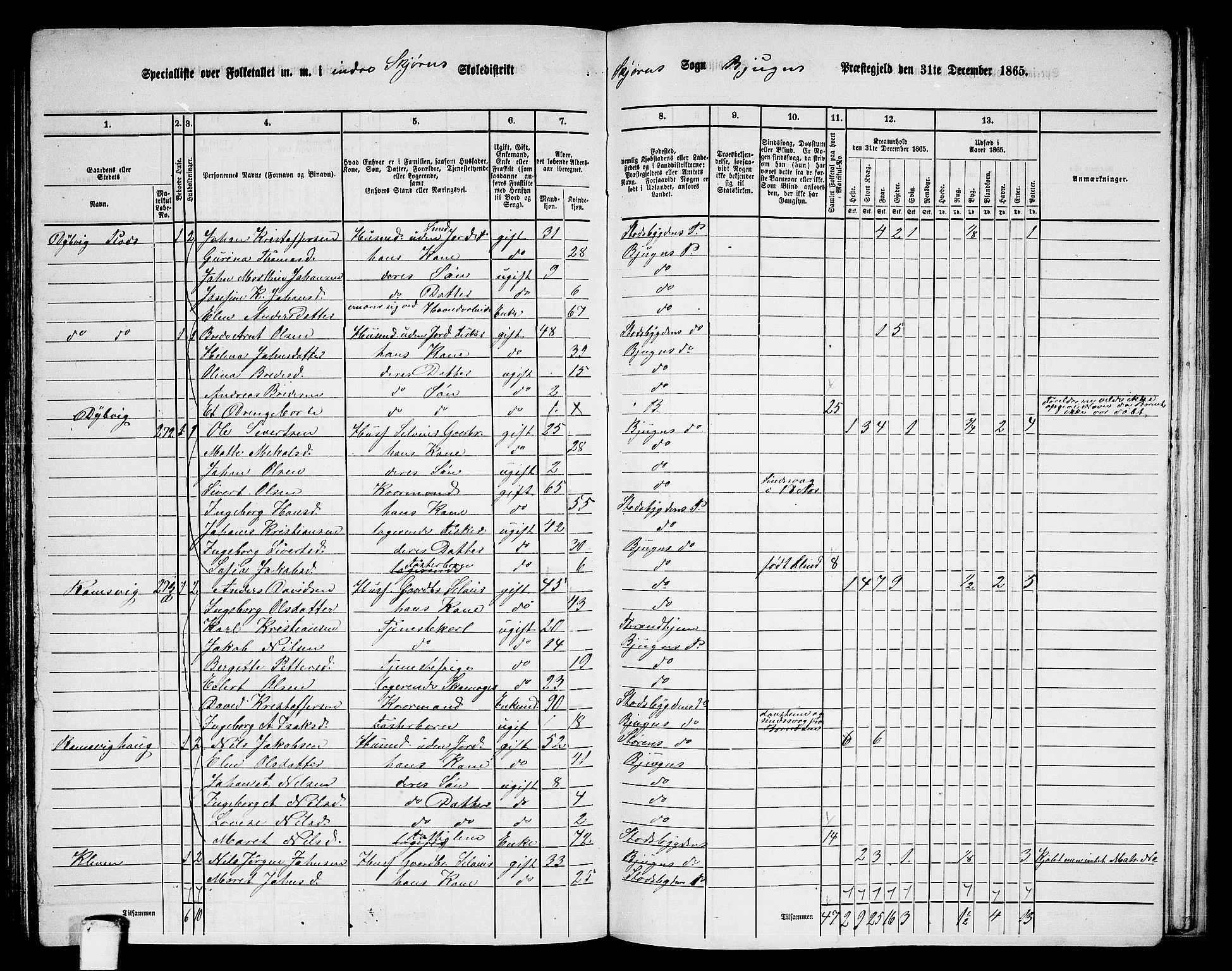 RA, 1865 census for Bjugn, 1865, p. 114