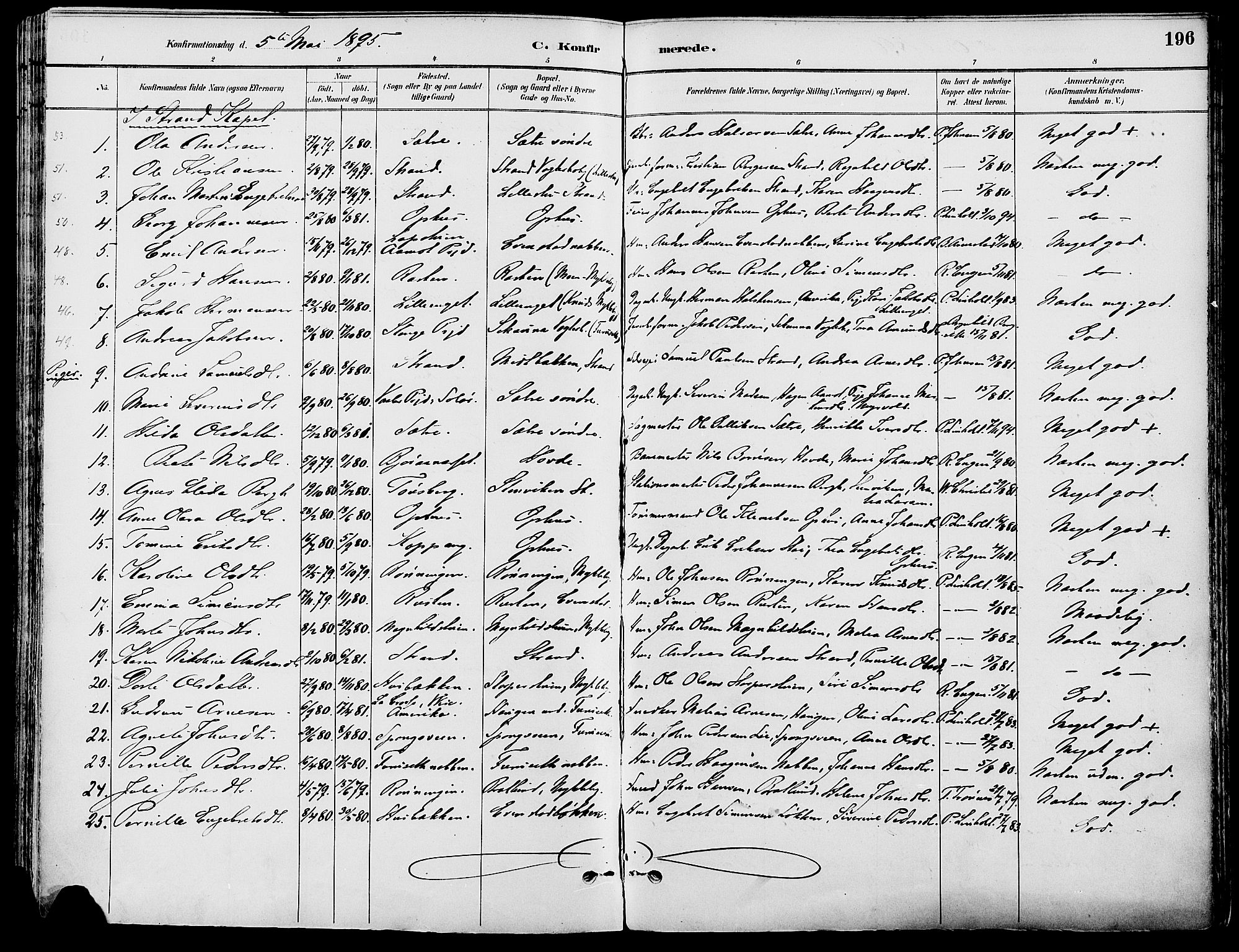 Stor-Elvdal prestekontor, SAH/PREST-052/H/Ha/Haa/L0002: Parish register (official) no. 2, 1882-1907, p. 196