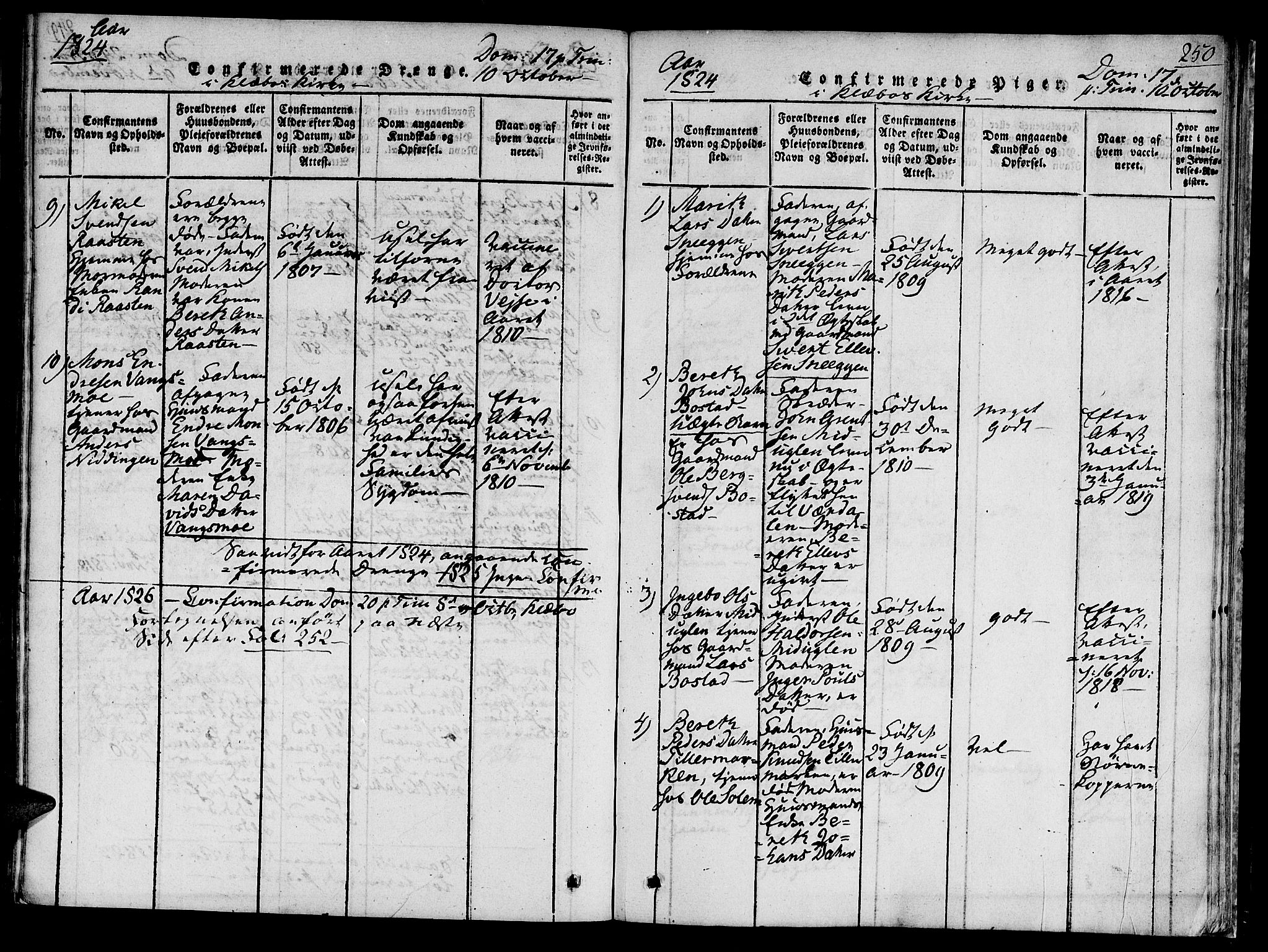 Ministerialprotokoller, klokkerbøker og fødselsregistre - Sør-Trøndelag, AV/SAT-A-1456/618/L0439: Parish register (official) no. 618A04 /1, 1816-1843, p. 250