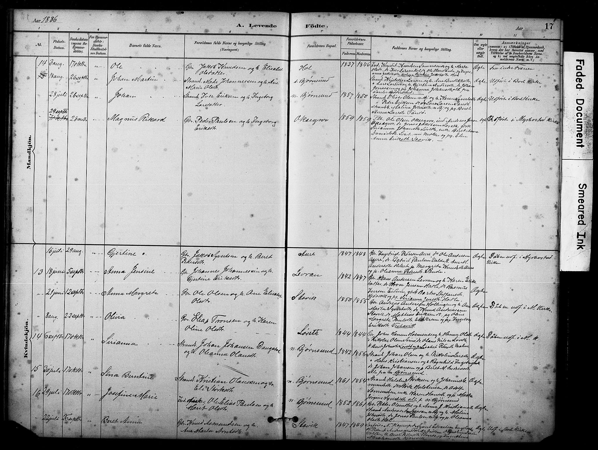 Ministerialprotokoller, klokkerbøker og fødselsregistre - Møre og Romsdal, AV/SAT-A-1454/565/L0755: Parish register (copy) no. 565C04, 1883-1903, p. 17