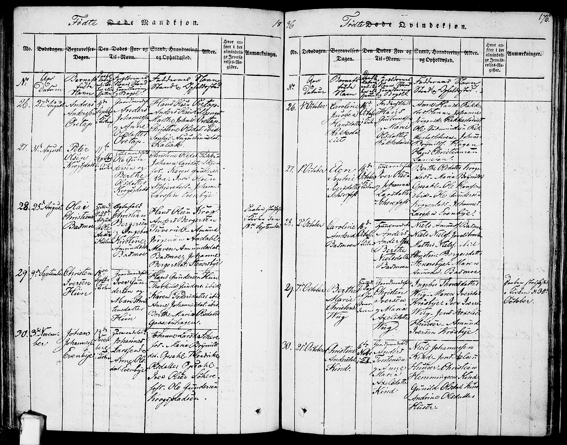 Rødenes prestekontor Kirkebøker, AV/SAO-A-2005/F/Fa/L0004: Parish register (official) no. I 4, 1814-1838, p. 176