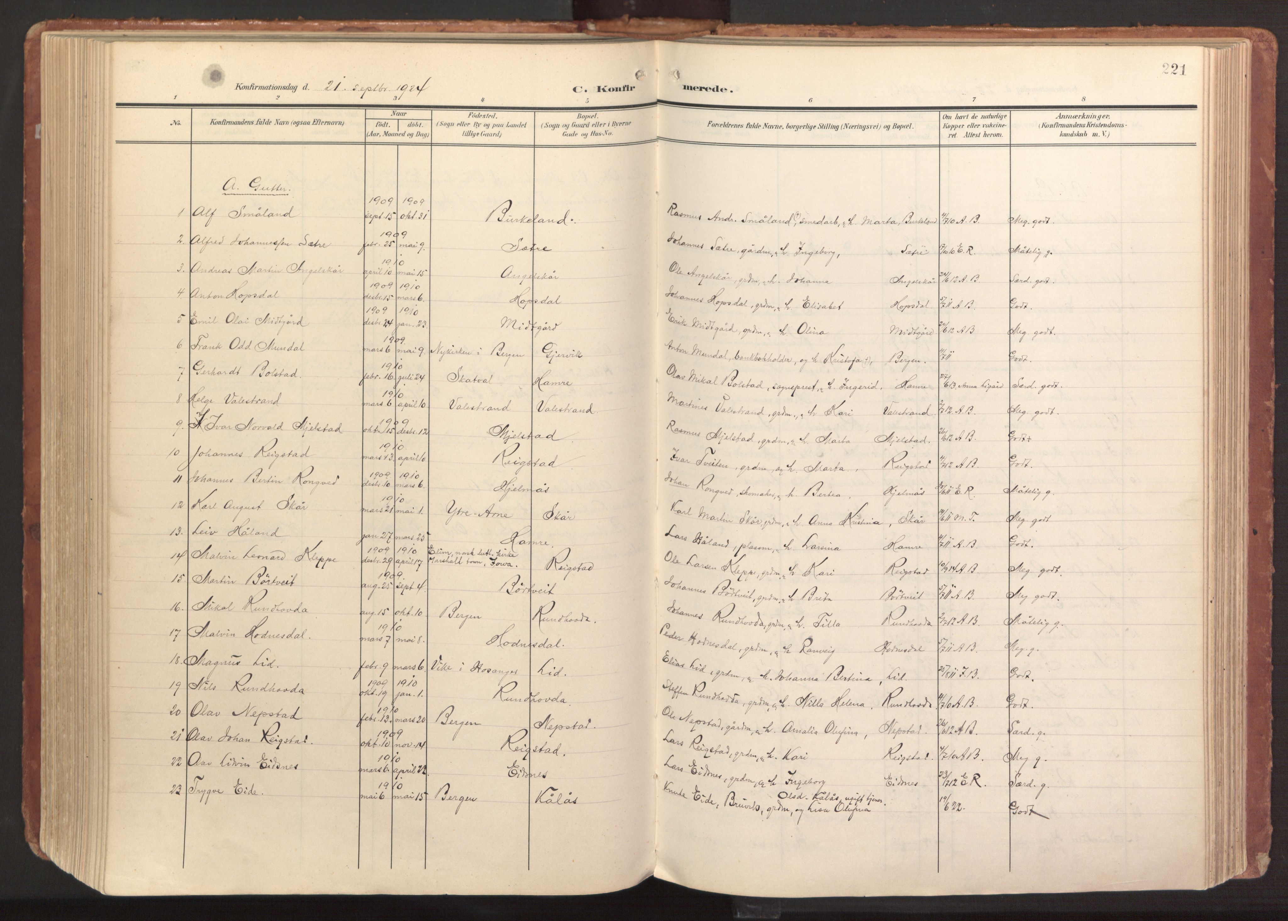 Hamre sokneprestembete, AV/SAB-A-75501/H/Ha/Haa/Haab/L0002: Parish register (official) no. B 2, 1905-1924, p. 221