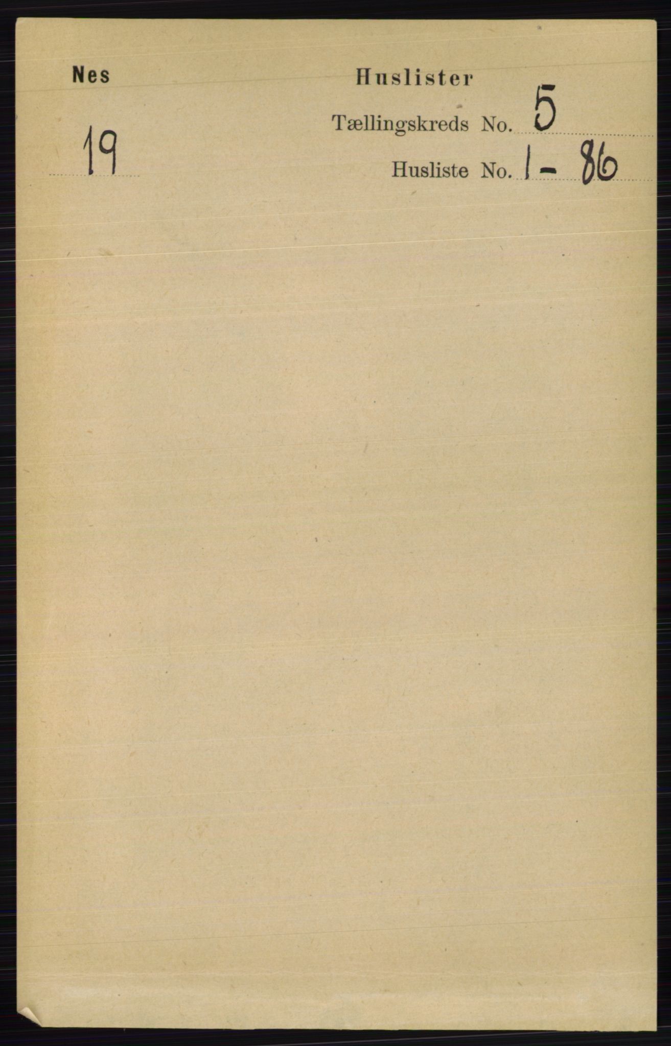 RA, 1891 census for 0411 Nes, 1891, p. 2520