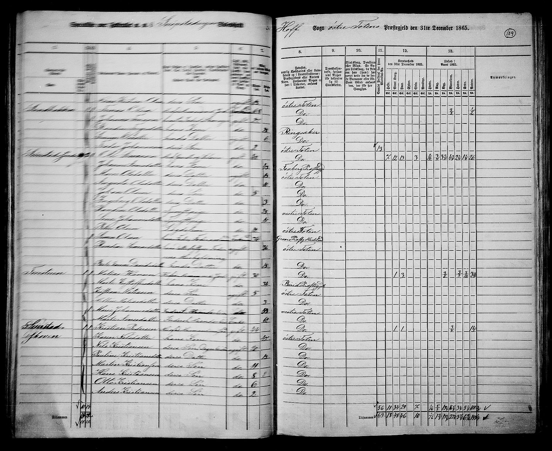 RA, 1865 census for Østre Toten, 1865, p. 228