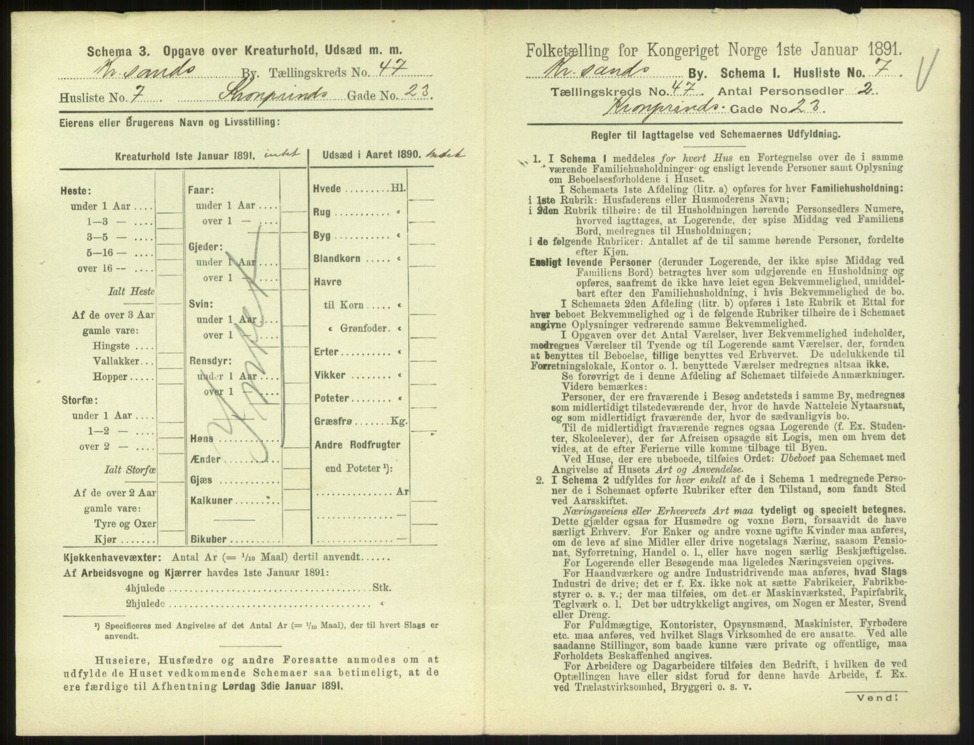 RA, 1891 census for 1001 Kristiansand, 1891, p. 2614