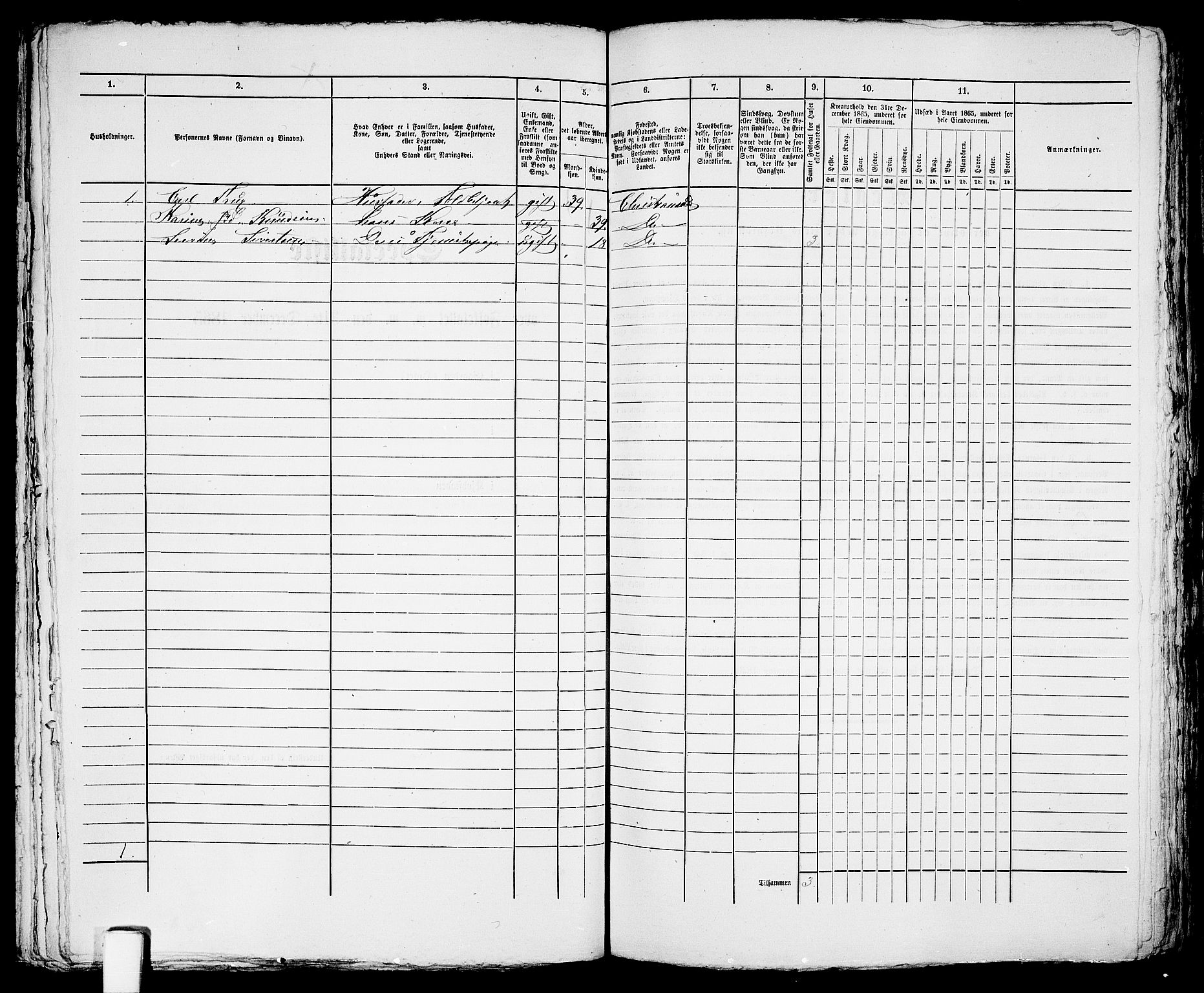 RA, 1865 census for Risør/Risør, 1865, p. 570