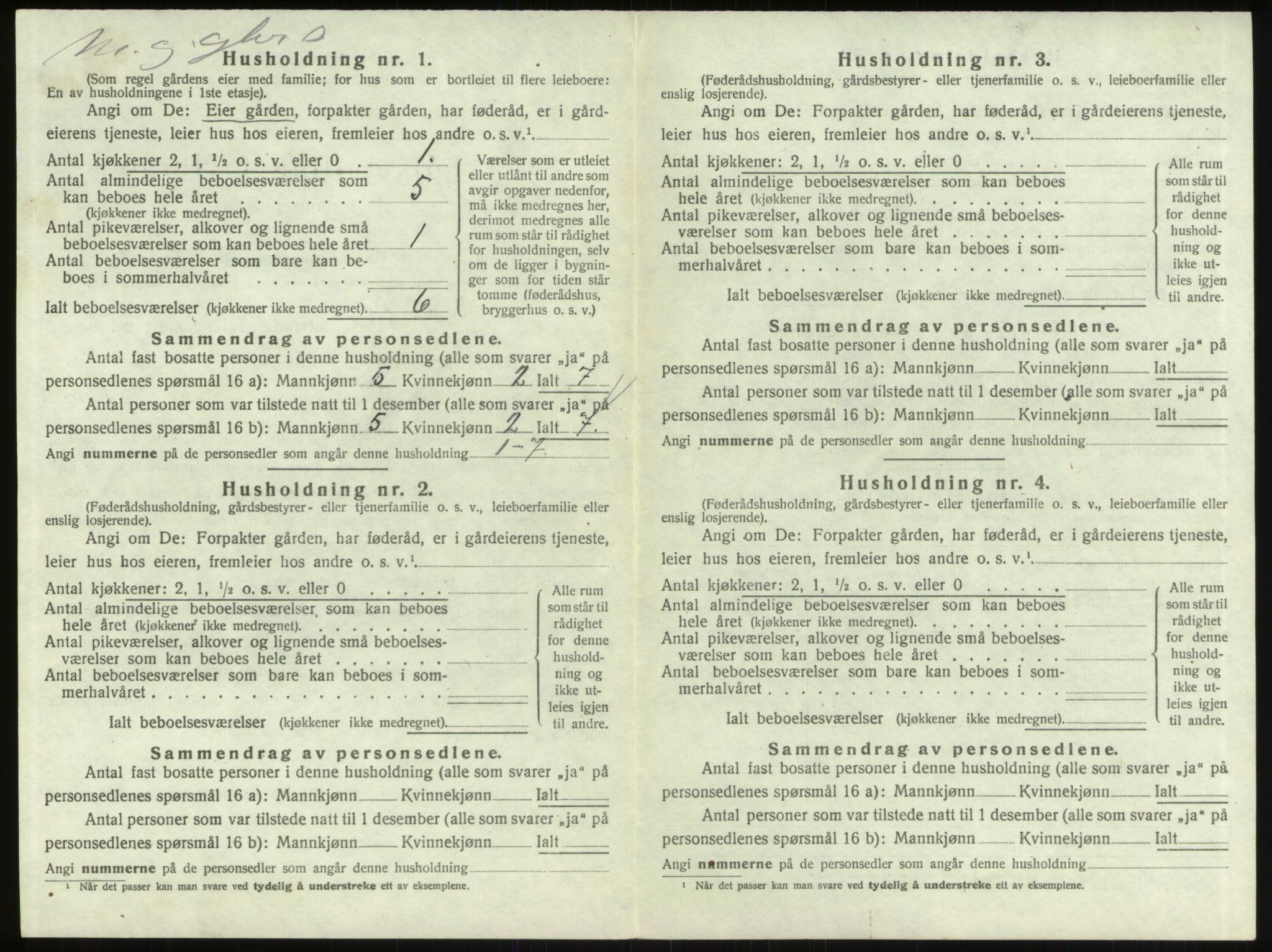 SAO, 1920 census for Skjeberg, 1920, p. 293