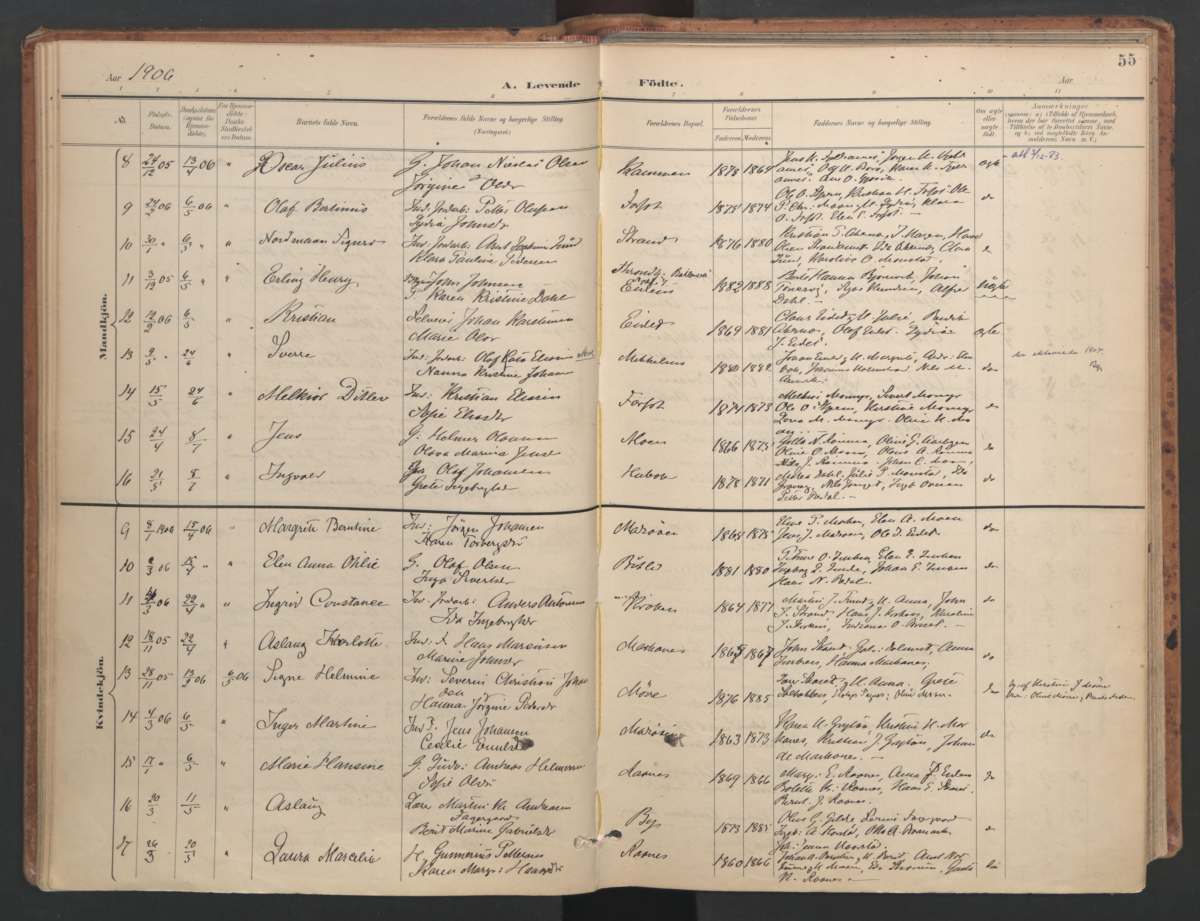 Ministerialprotokoller, klokkerbøker og fødselsregistre - Sør-Trøndelag, SAT/A-1456/655/L0681: Parish register (official) no. 655A10, 1895-1907, p. 55