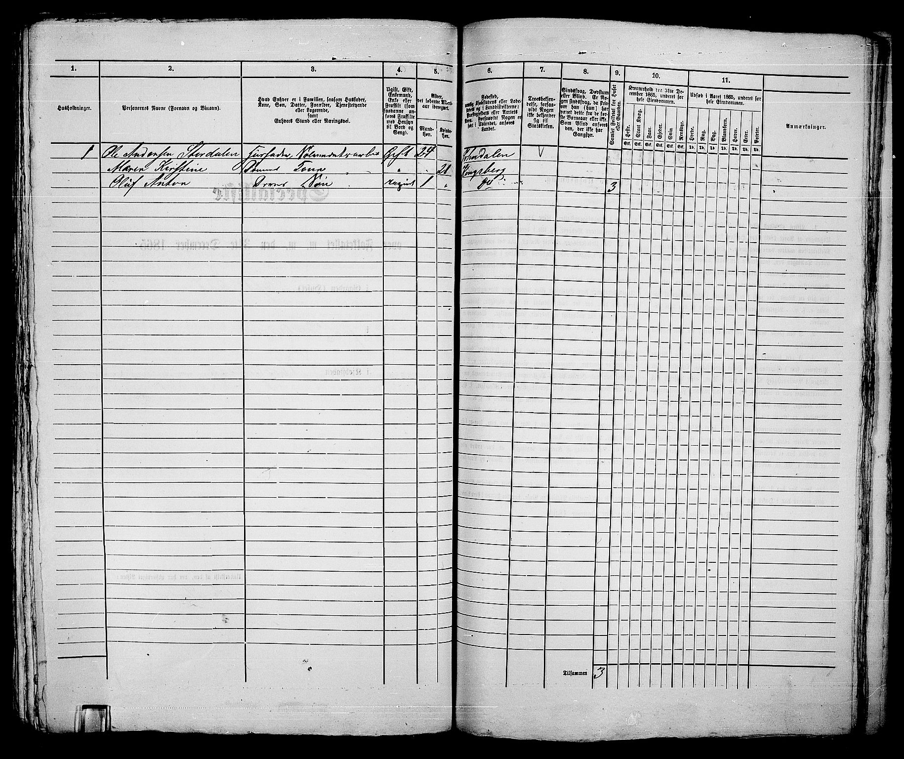 RA, 1865 census for Kongsberg/Kongsberg, 1865, p. 908