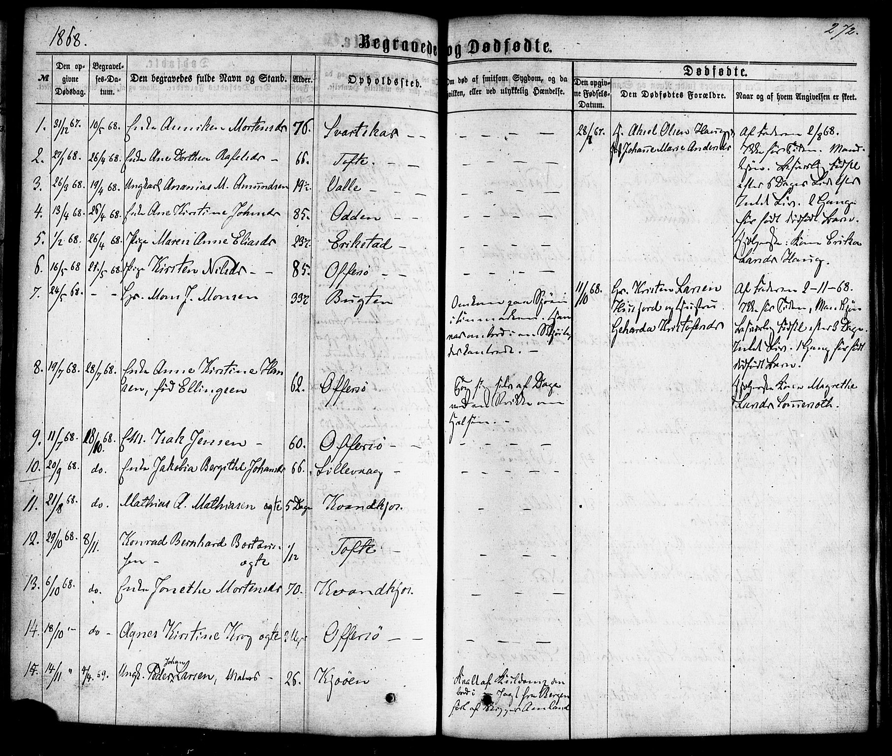 Ministerialprotokoller, klokkerbøker og fødselsregistre - Nordland, AV/SAT-A-1459/872/L1034: Parish register (official) no. 872A09, 1864-1884, p. 272